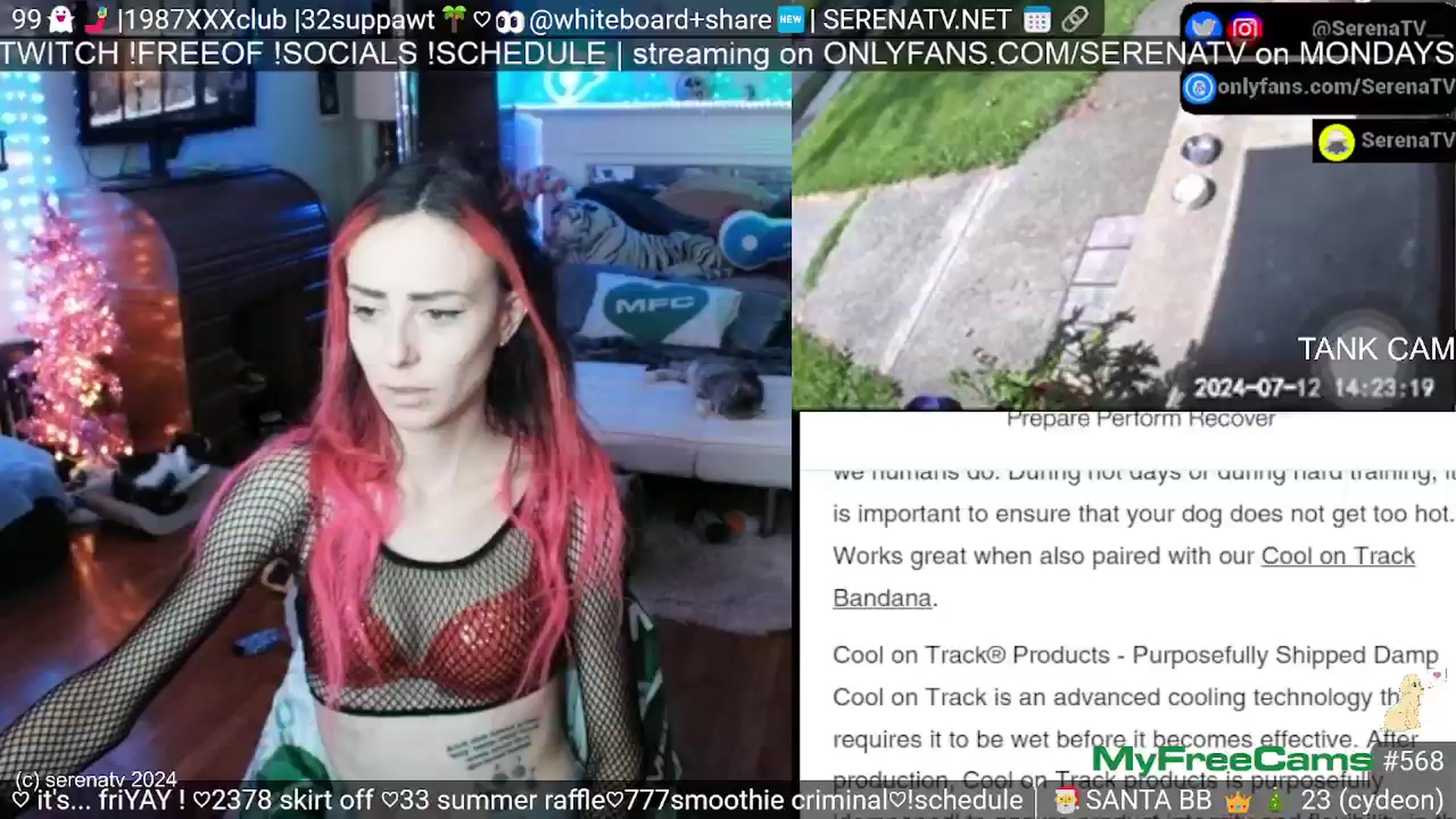 Gallery image thumbnail from serenatv's myfreecams stream on, 07/12/2024, 20:08 image 7 of 20
