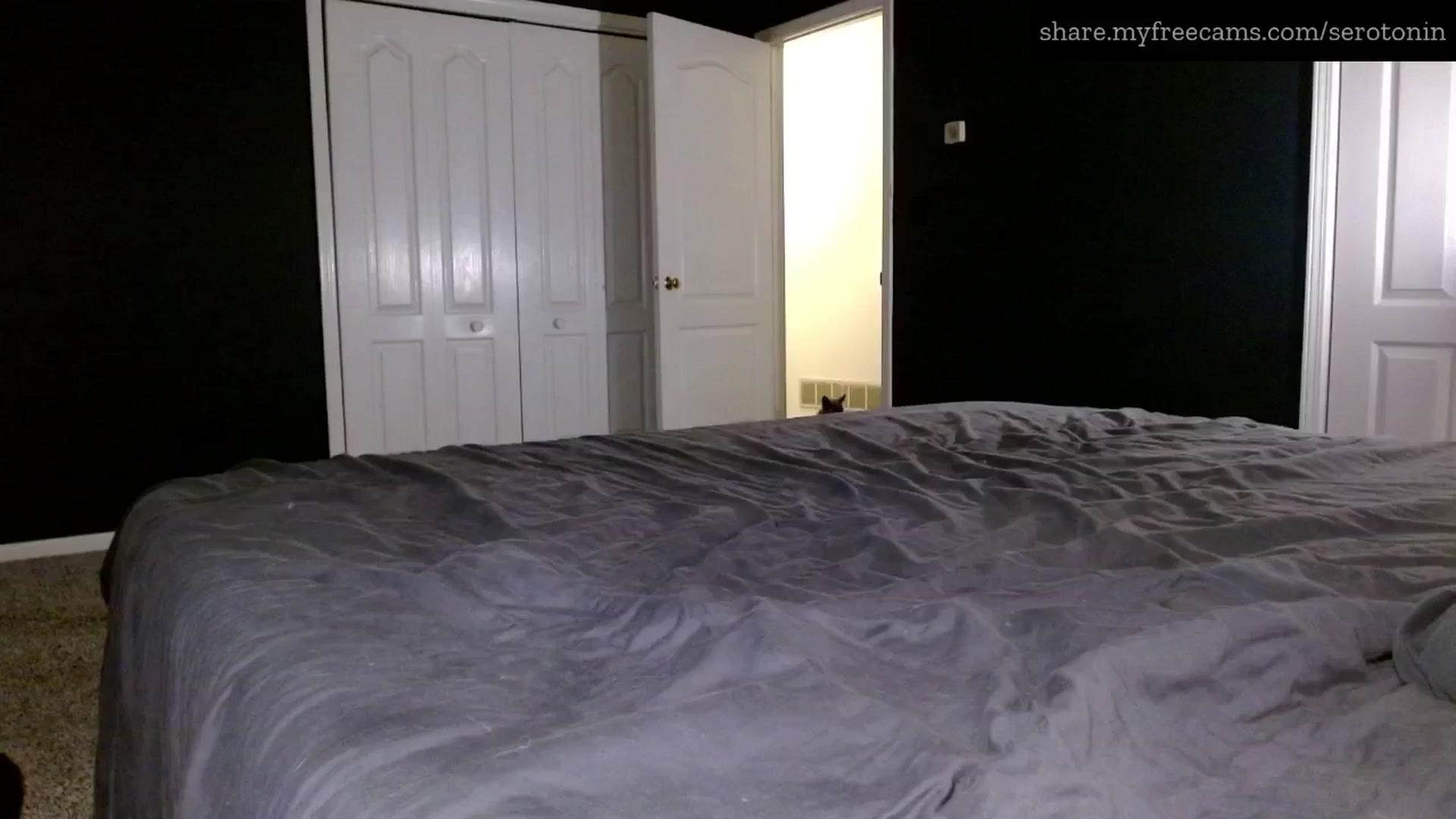 Gallery image thumbnail from serotonin's myfreecams stream on, 04/19/2025, 24:53 image 9 of 20