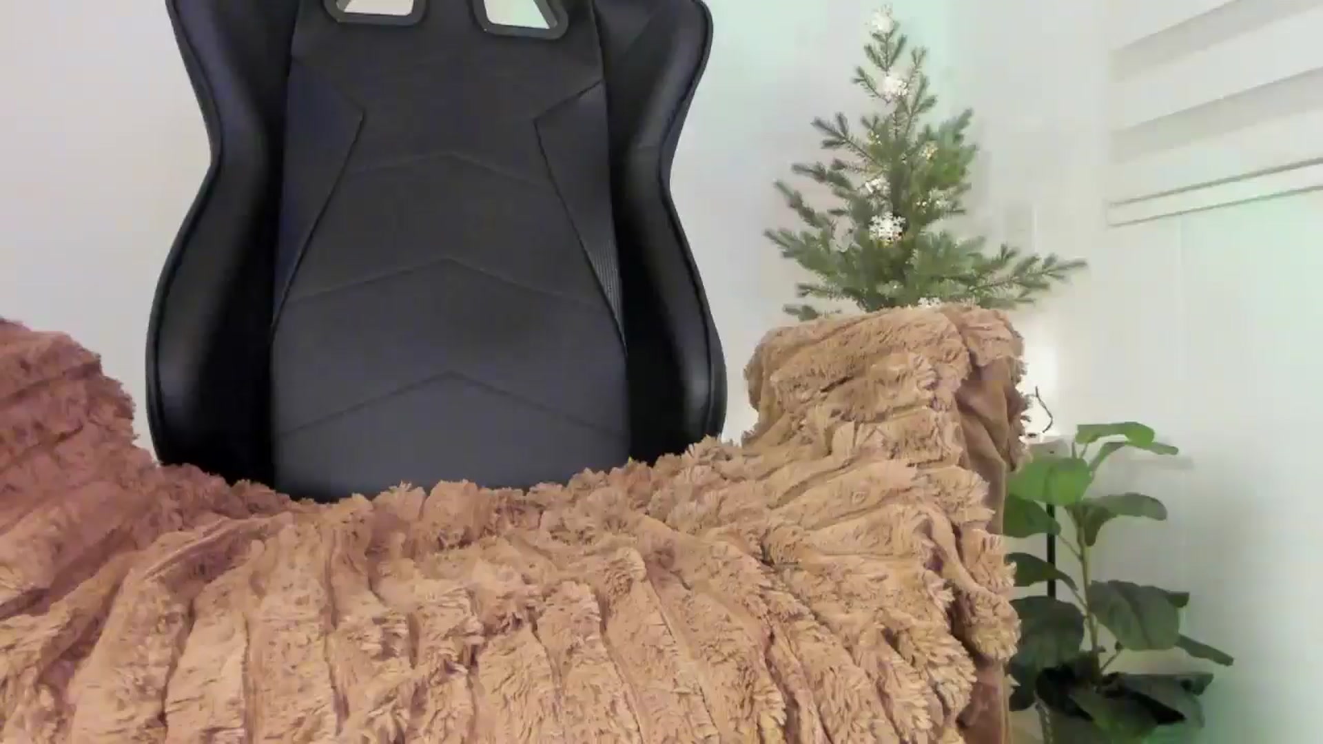 Gallery image thumbnail from sexyALISOM's myfreecams stream on, 12/02/2025, 10:56 image 8 of 20