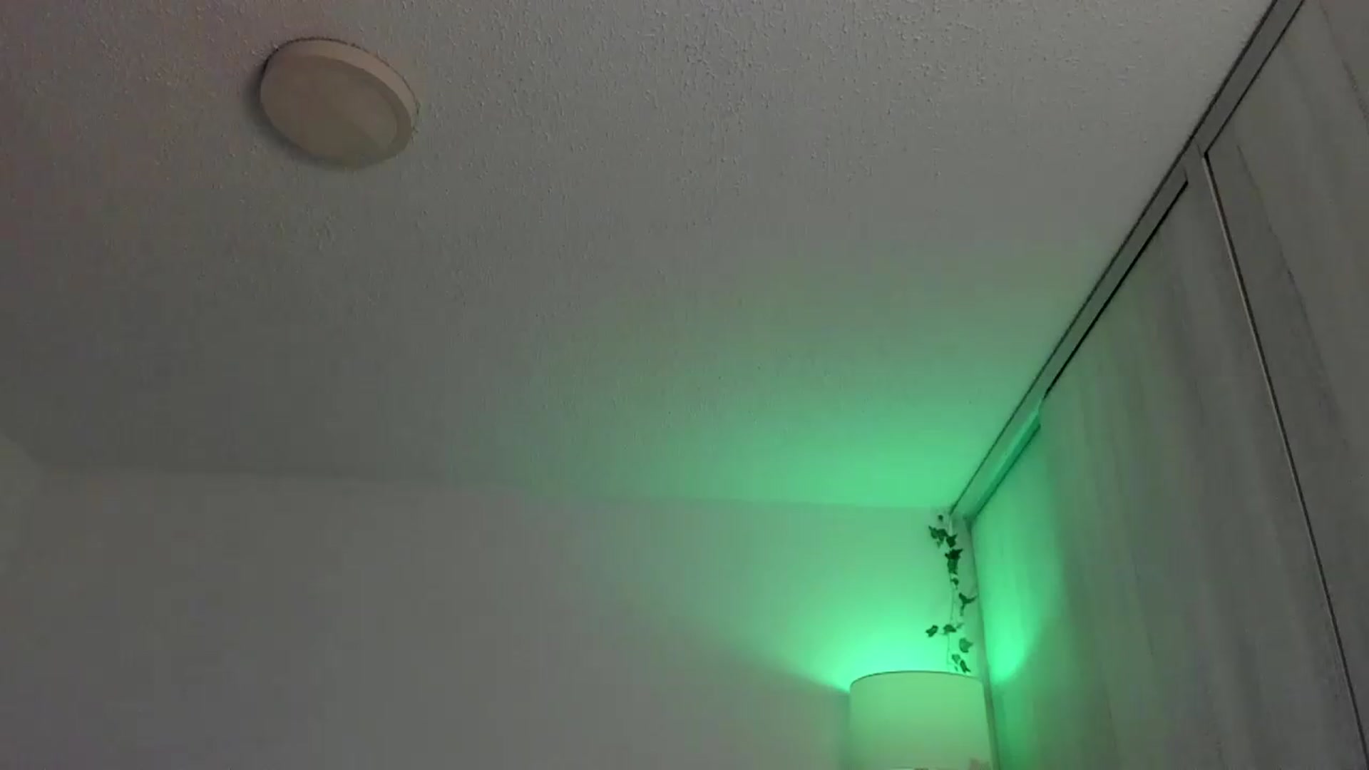 Gallery image thumbnail from sexyALISOM's myfreecams stream on, 07/21/2026, 11:31 image 12 of 20