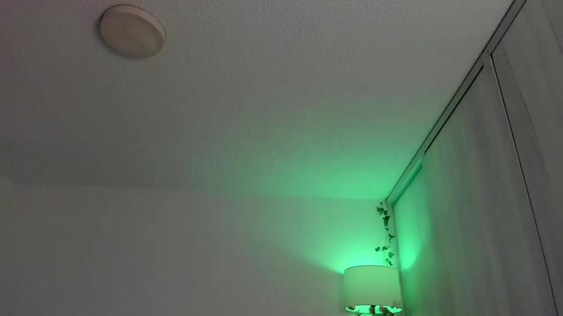 Gallery image thumbnail from sexyALISOM's myfreecams stream on, 07/21/2026, 11:31 image 10 of 20