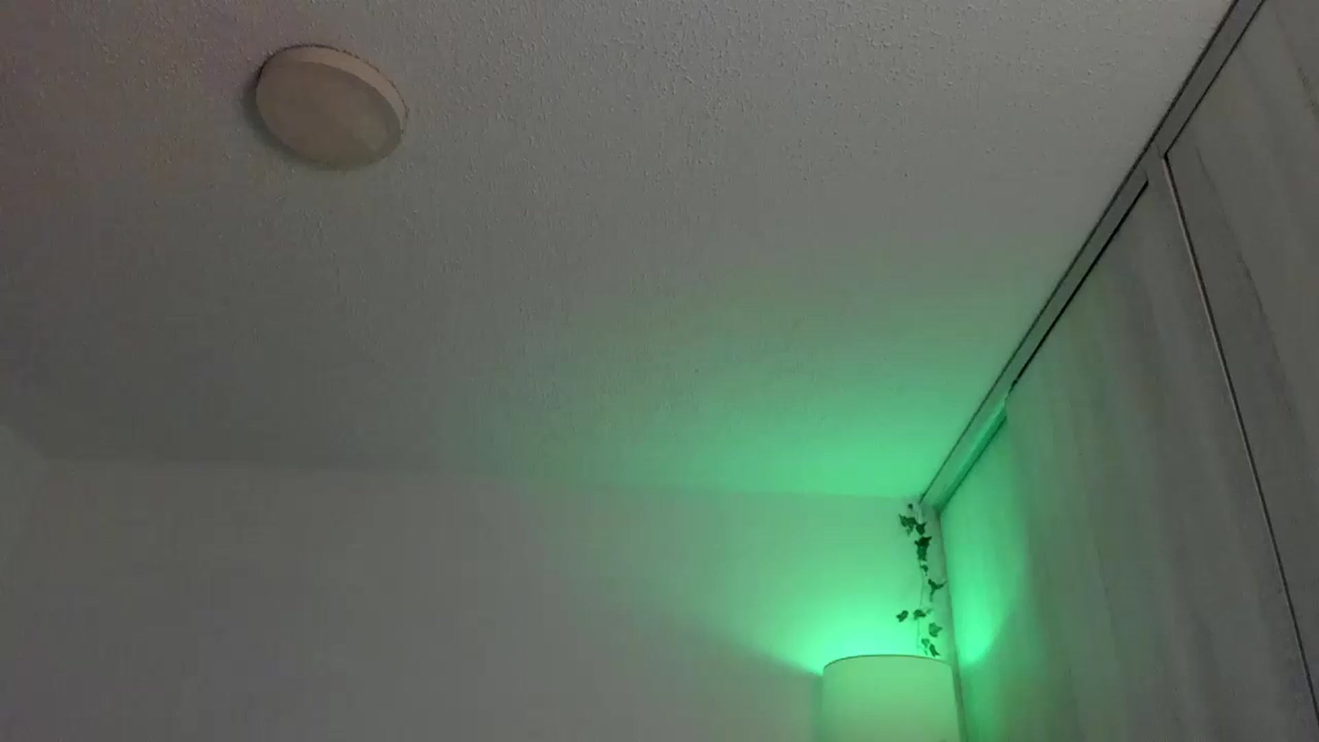 Gallery image thumbnail from sexyALISOM's myfreecams stream on, 07/21/2026, 11:31 image 13 of 20