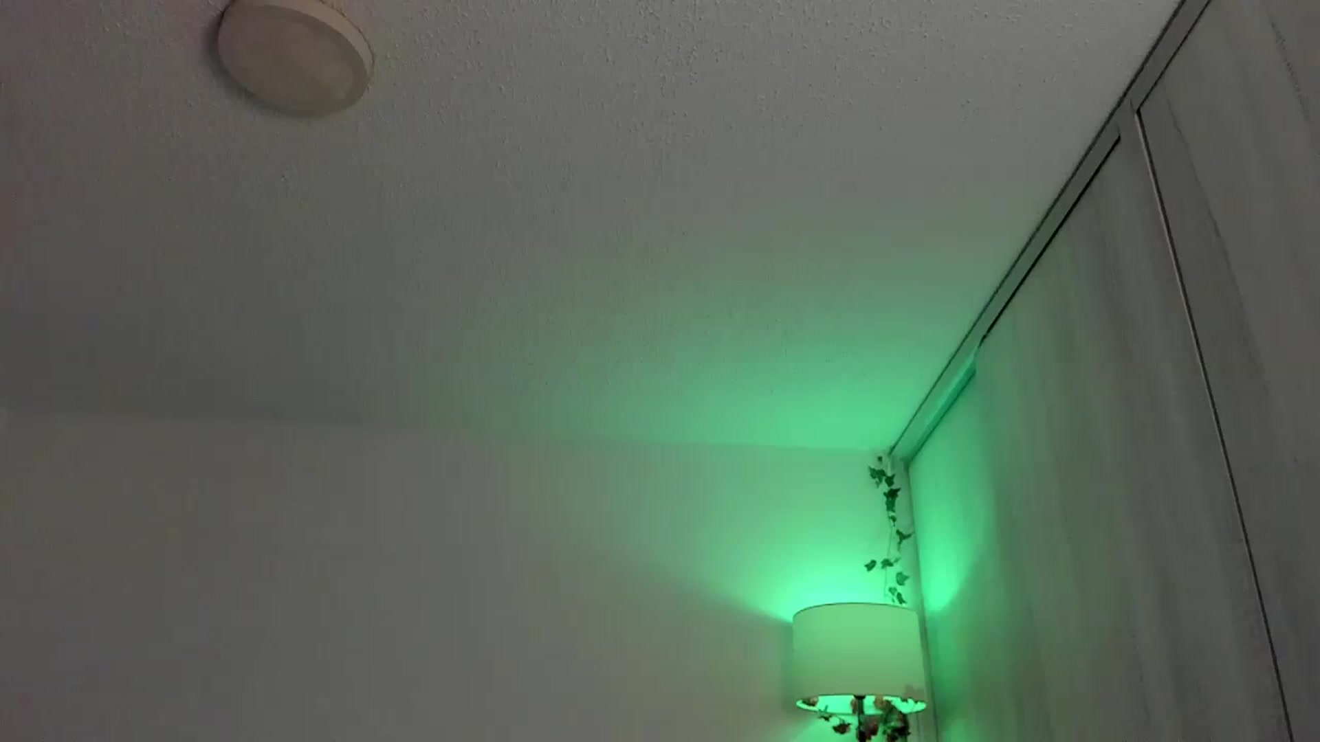 Gallery image thumbnail from sexyALISOM's myfreecams stream on, 07/21/2026, 11:31 image 9 of 20