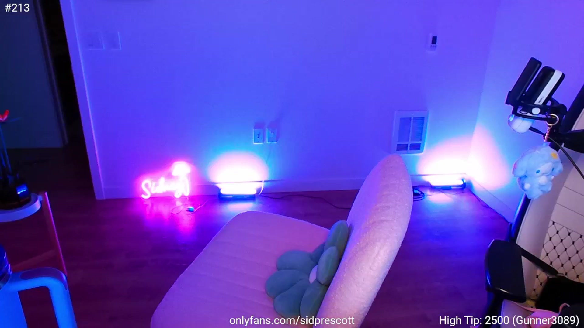 Gallery image thumbnail from sid_ney's myfreecams stream on, 03/01/2025, 05:23 image 11 of 20