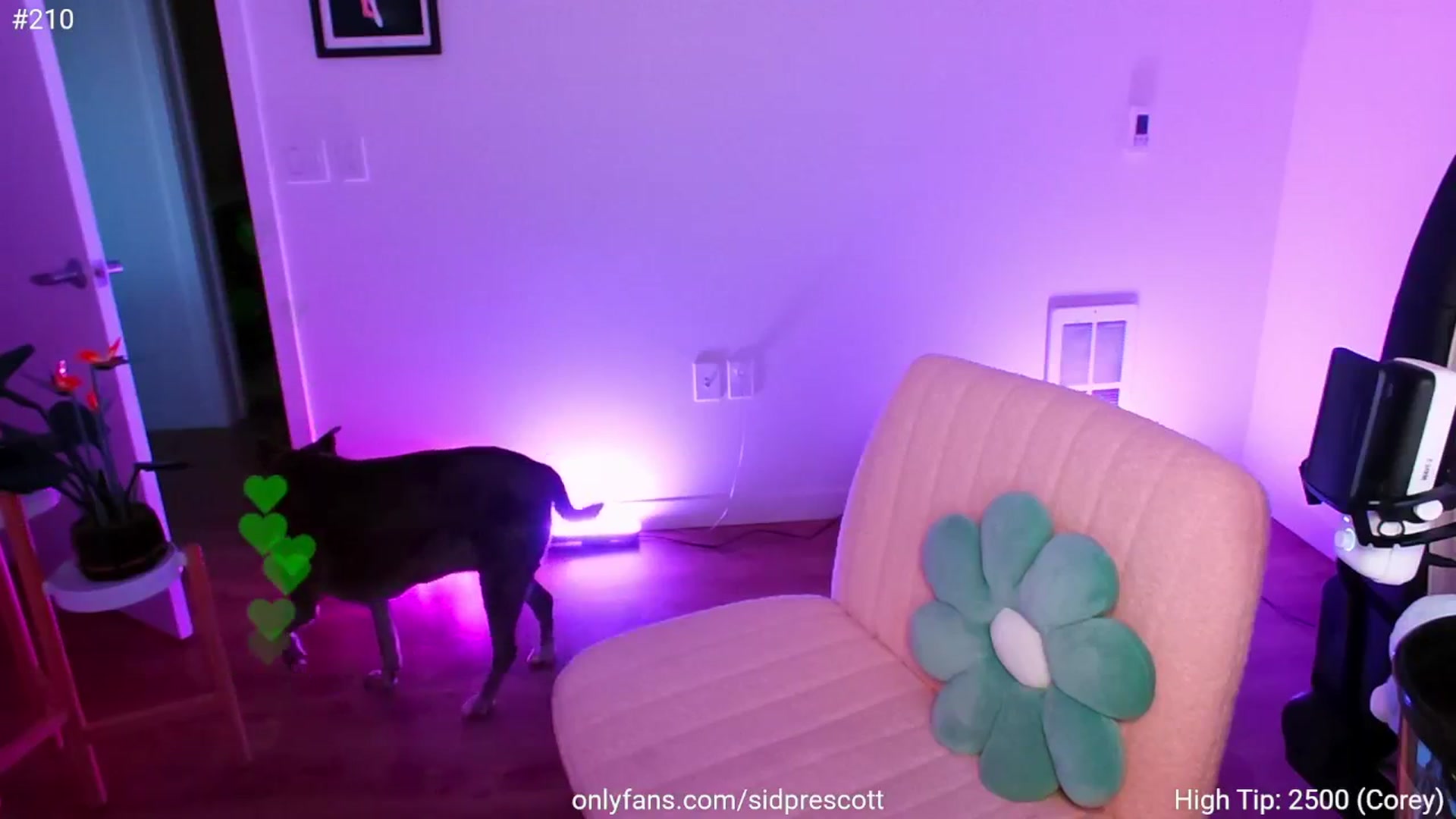 Gallery image thumbnail from sid_ney's myfreecams stream on, 04/22/2025, 03:31 image 13 of 20