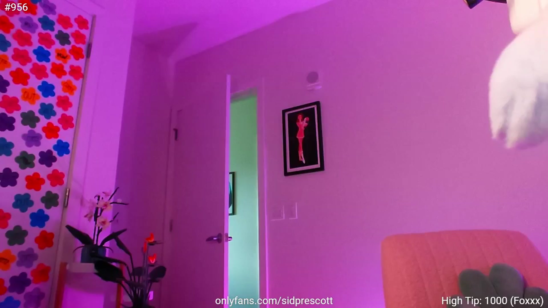 Gallery image thumbnail from sid_ney's myfreecams stream on, 06/04/2025, 02:05 image 7 of 20