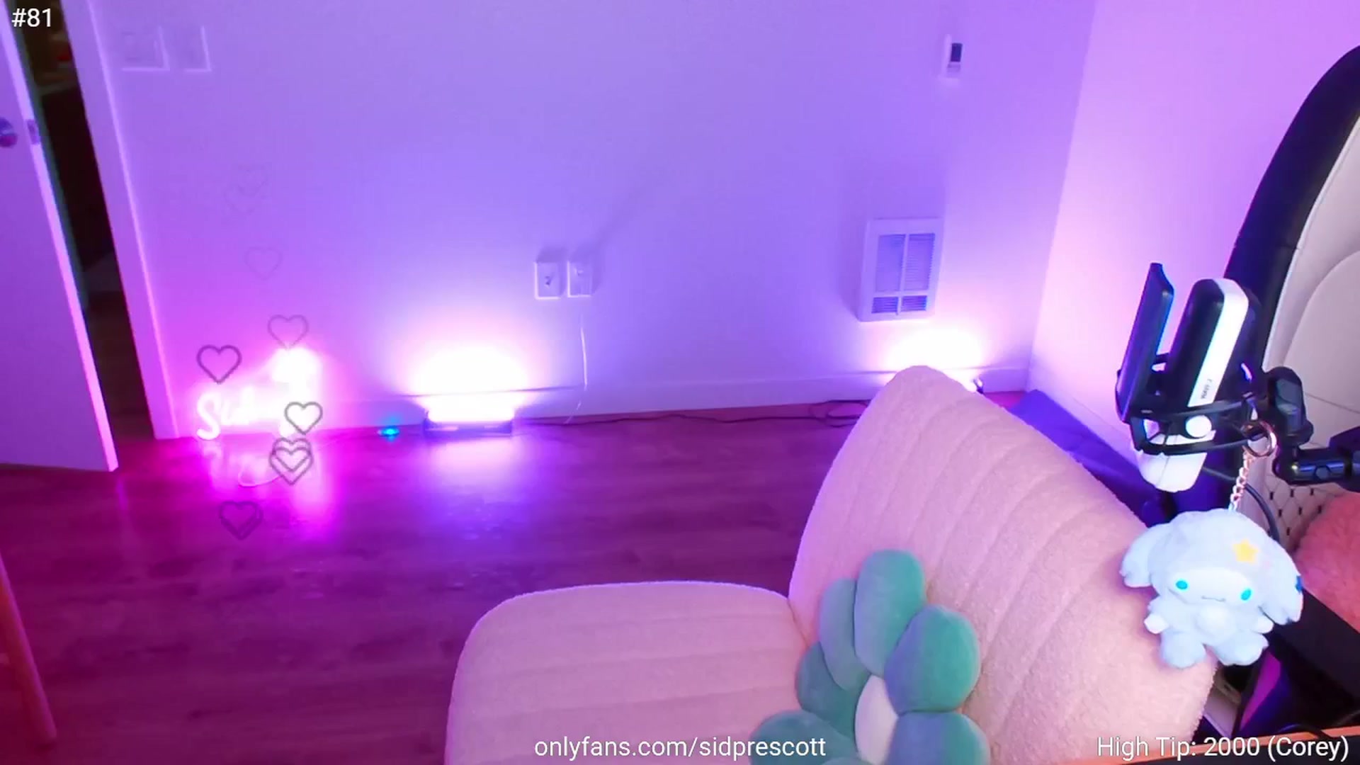 Gallery image thumbnail from sid_ney's myfreecams stream on, 09/02/2025, 03:02 image 15 of 20
