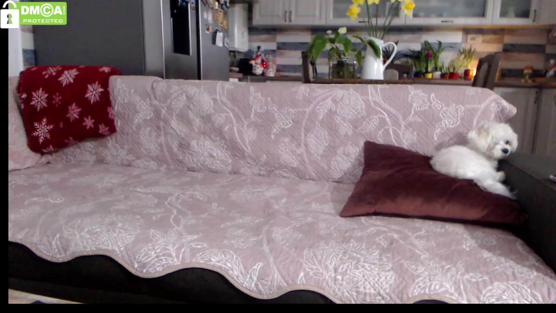 Gallery image thumbnail from silverjewel's myfreecams stream on, 02/28/2023, 12:21 image 10 of 20