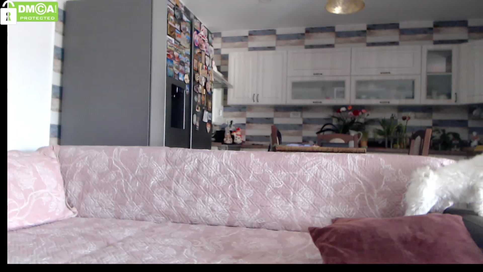 Gallery image thumbnail from silverjewel's myfreecams stream on, 03/14/2023, 09:51 image 7 of 20