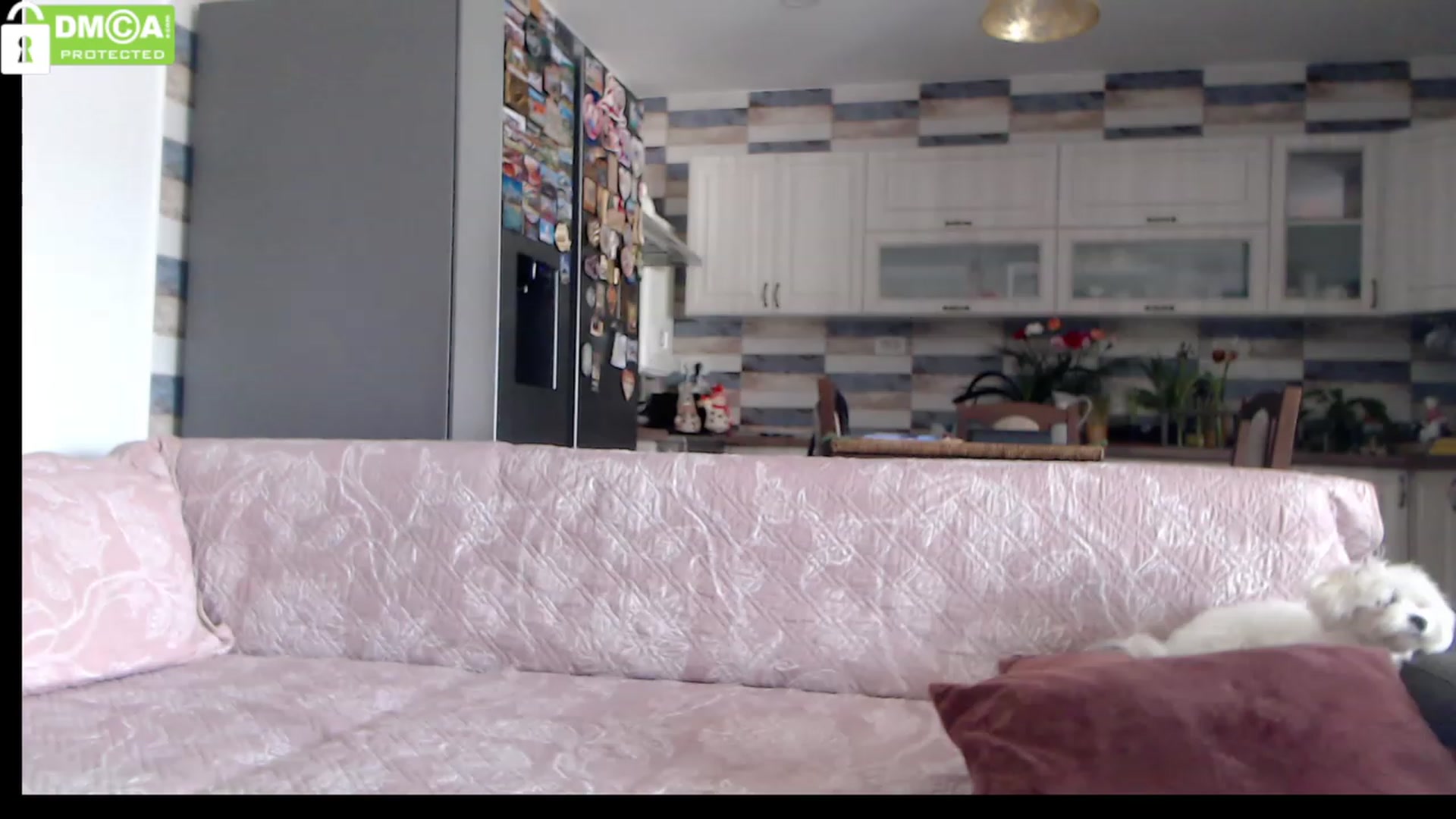 Gallery image thumbnail from silverjewel's myfreecams stream on, 03/14/2023, 09:51 image 5 of 20