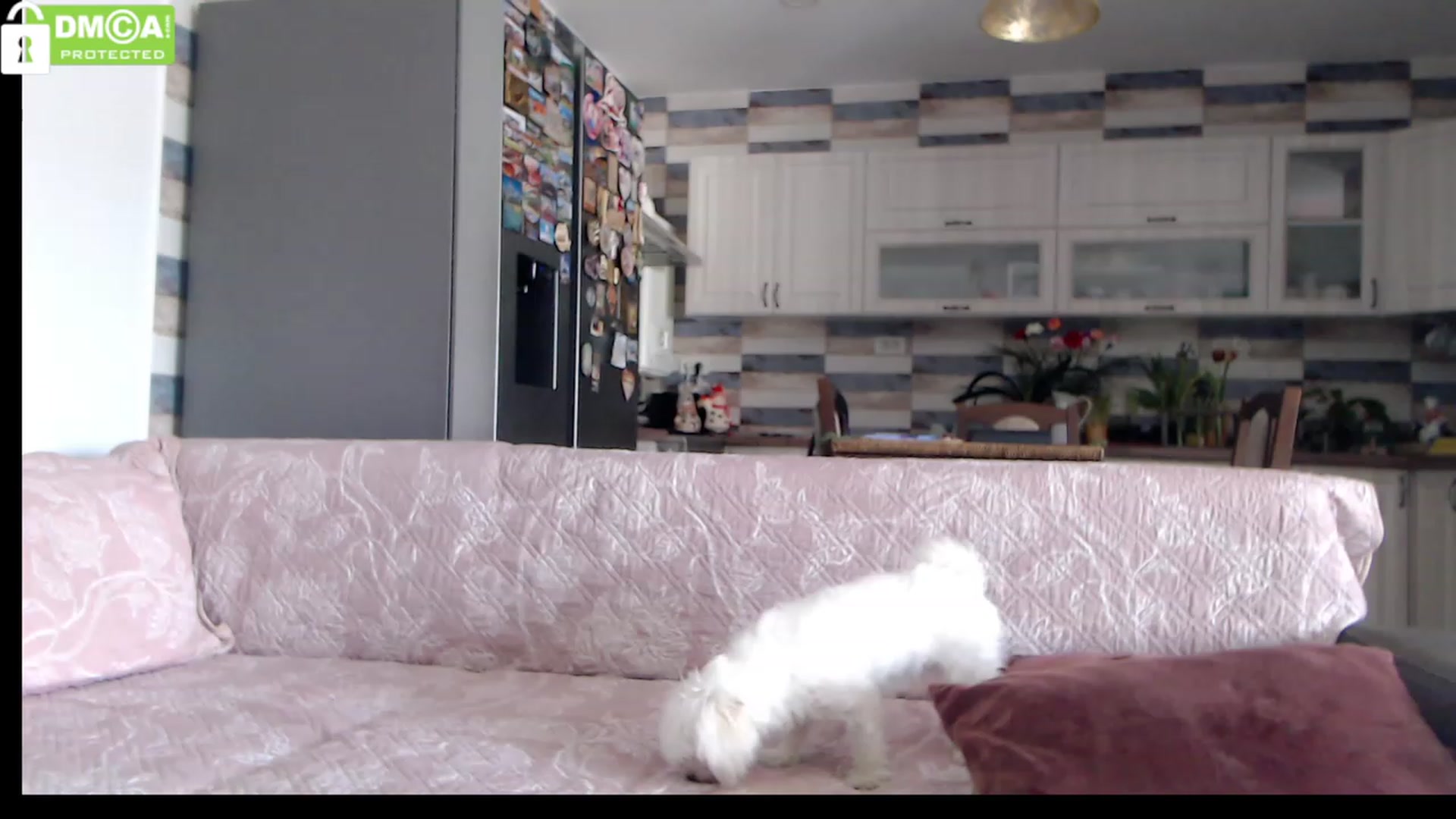 Gallery image thumbnail from silverjewel's myfreecams stream on, 03/14/2023, 09:51 image 6 of 20