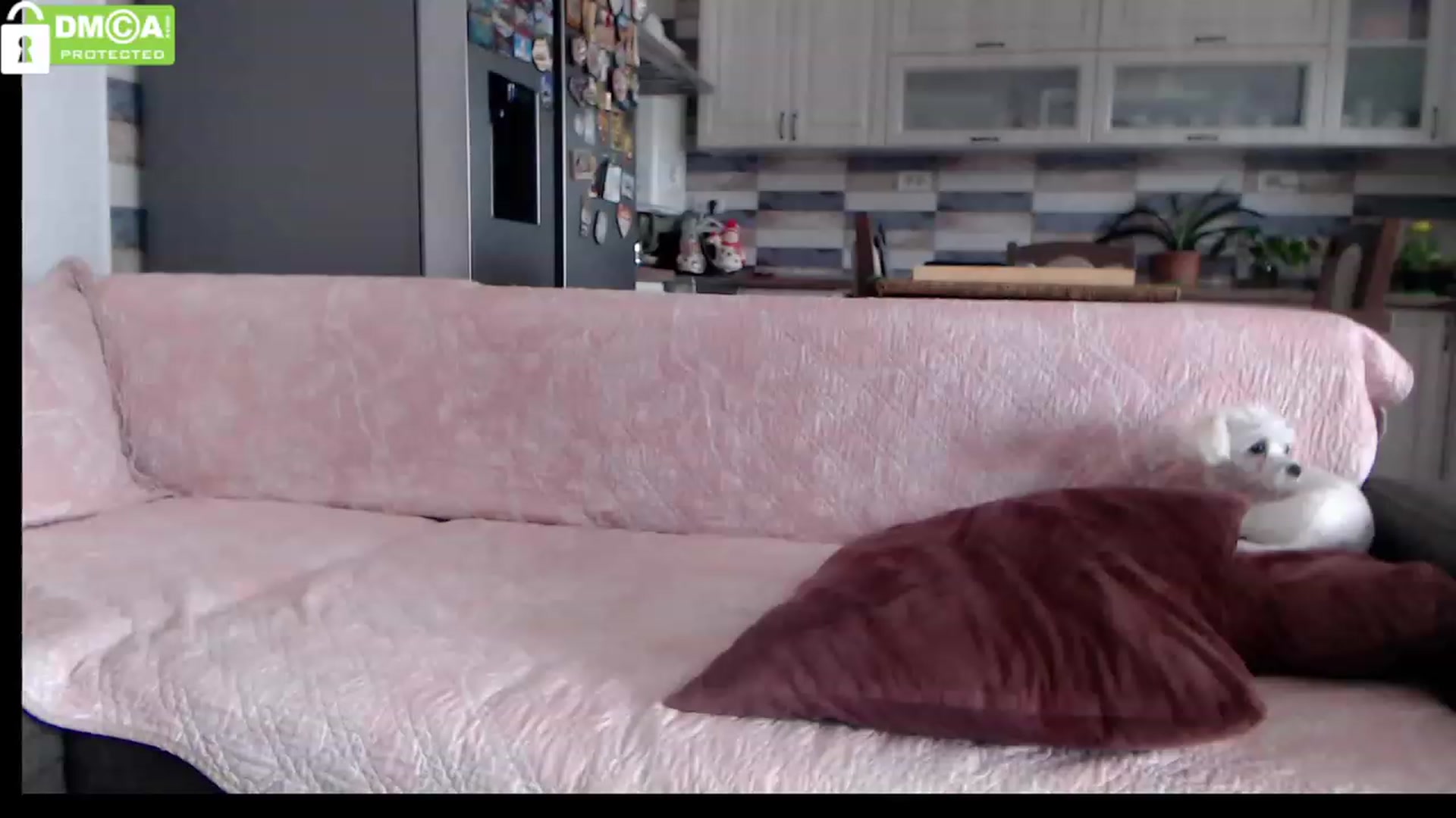 Gallery image thumbnail from silverjewel's myfreecams stream on, 03/21/2023, 10:45 image 12 of 20