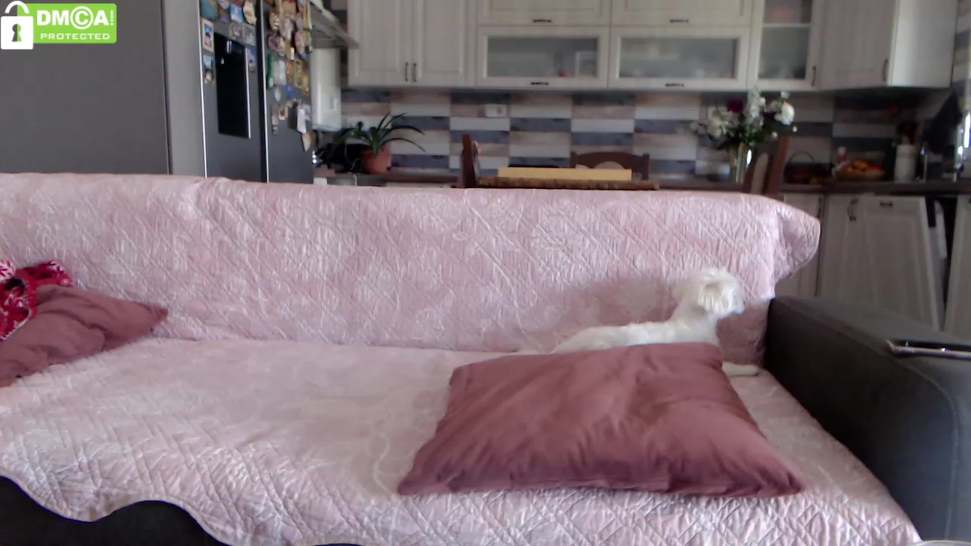 Gallery image thumbnail from silverjewel's myfreecams stream on, 05/31/2023, 10:13 image 5 of 20