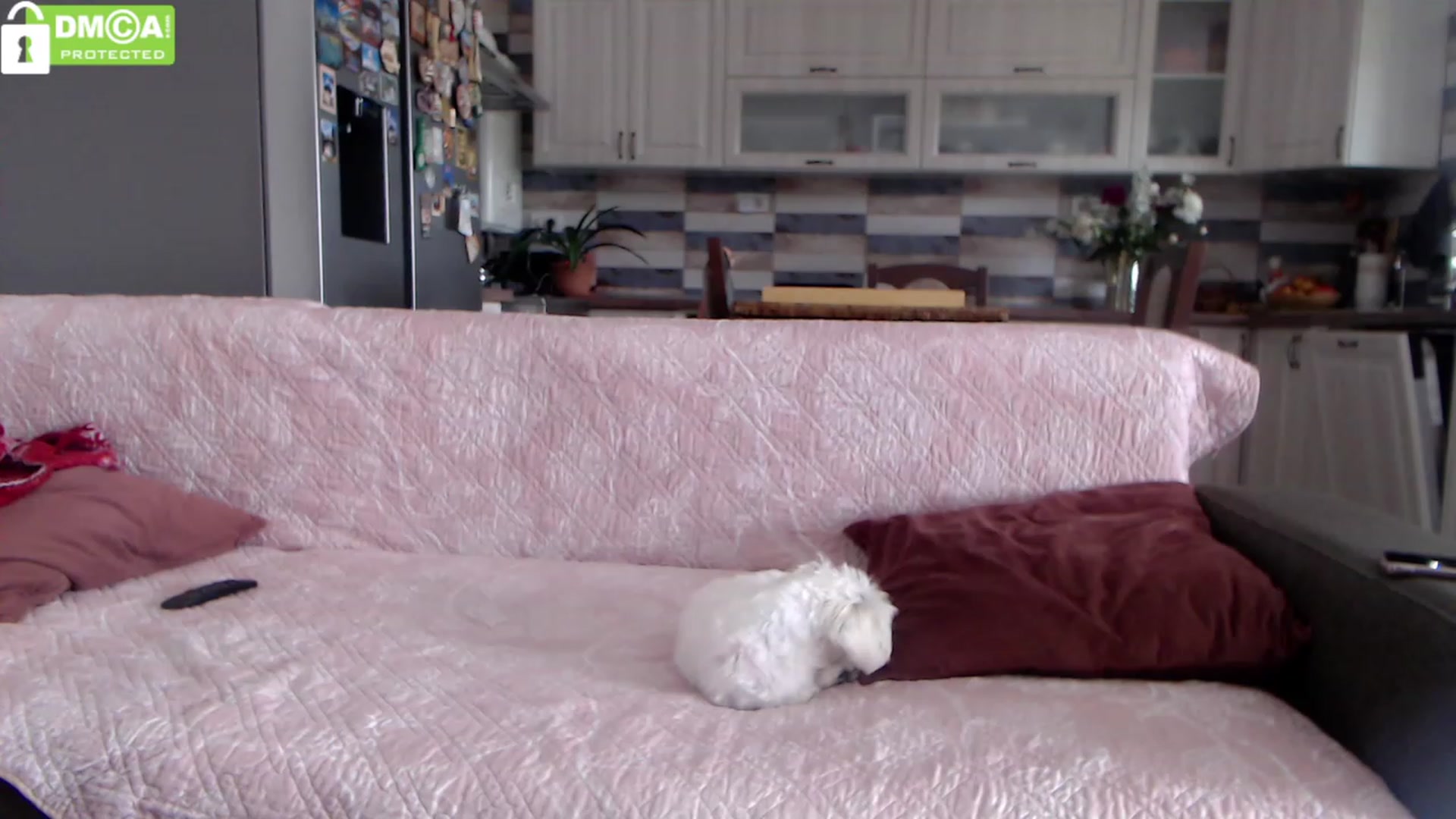 Gallery image thumbnail from silverjewel's myfreecams stream on, 05/31/2023, 12:43 image 1 of 20