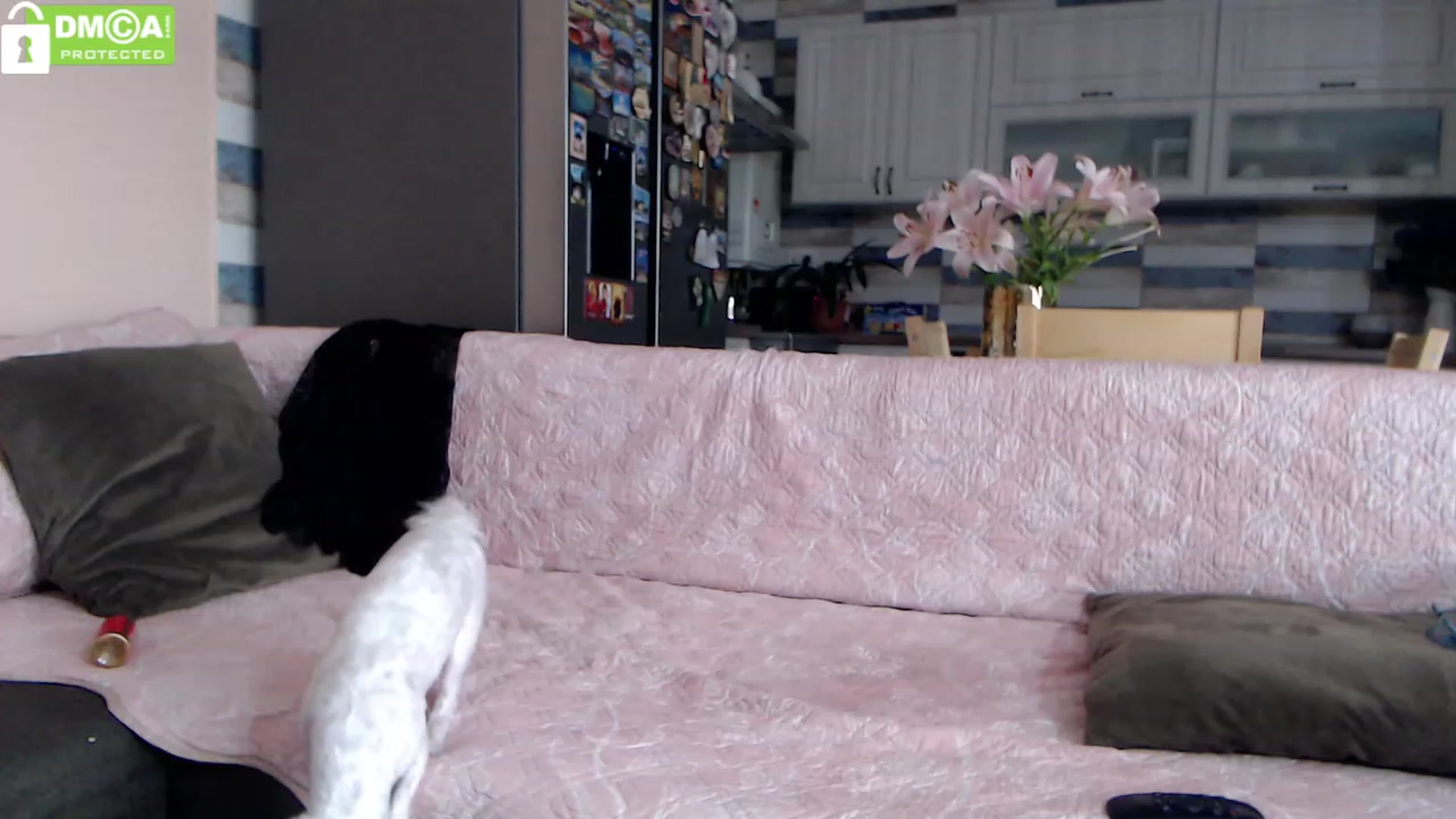 Gallery image thumbnail from silverjewel's myfreecams stream on, 09/16/2023, 12:21 image 2 of 20