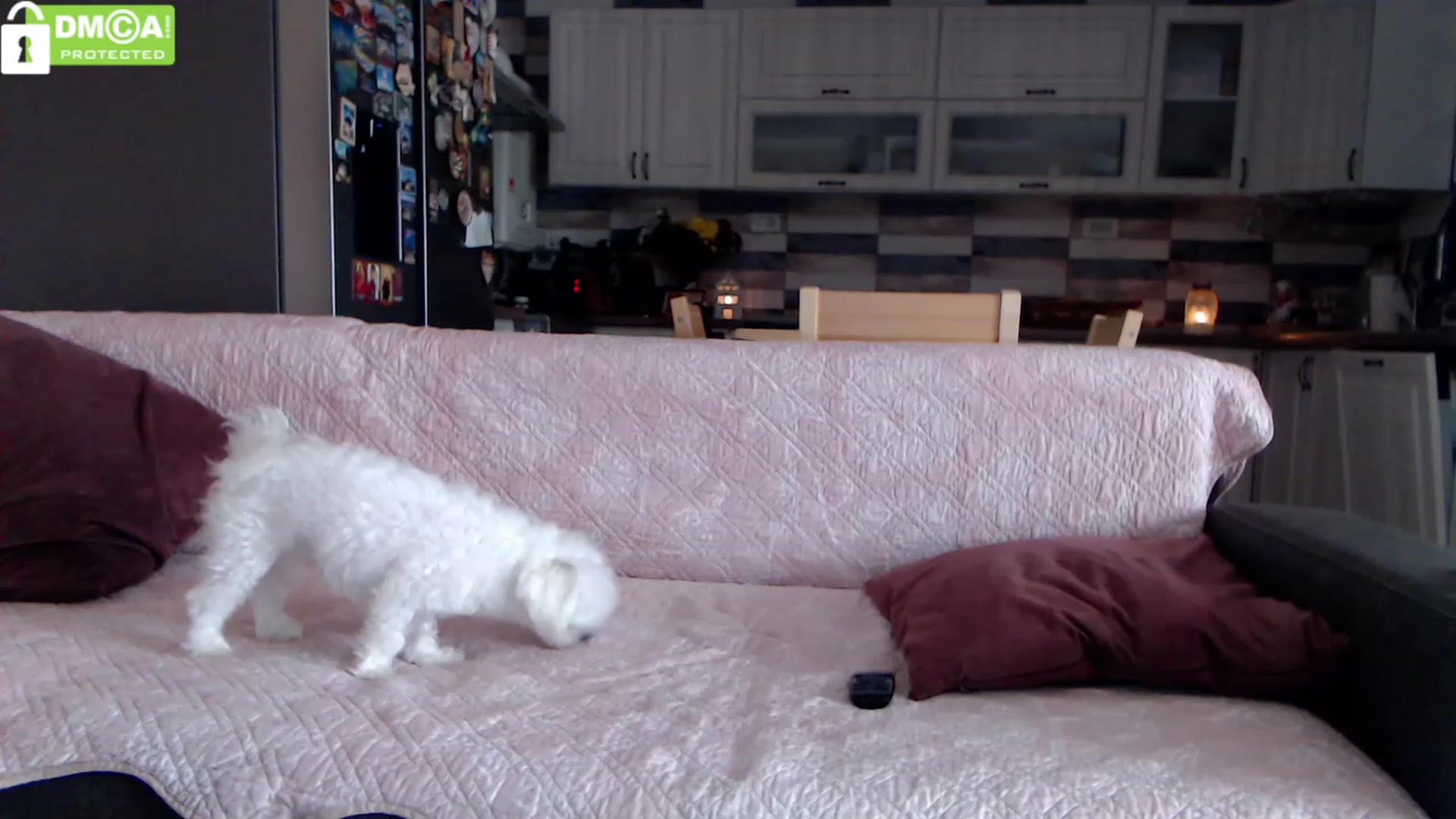 Gallery image thumbnail from silverjewel's myfreecams stream on, 11/17/2023, 09:58 image 7 of 20