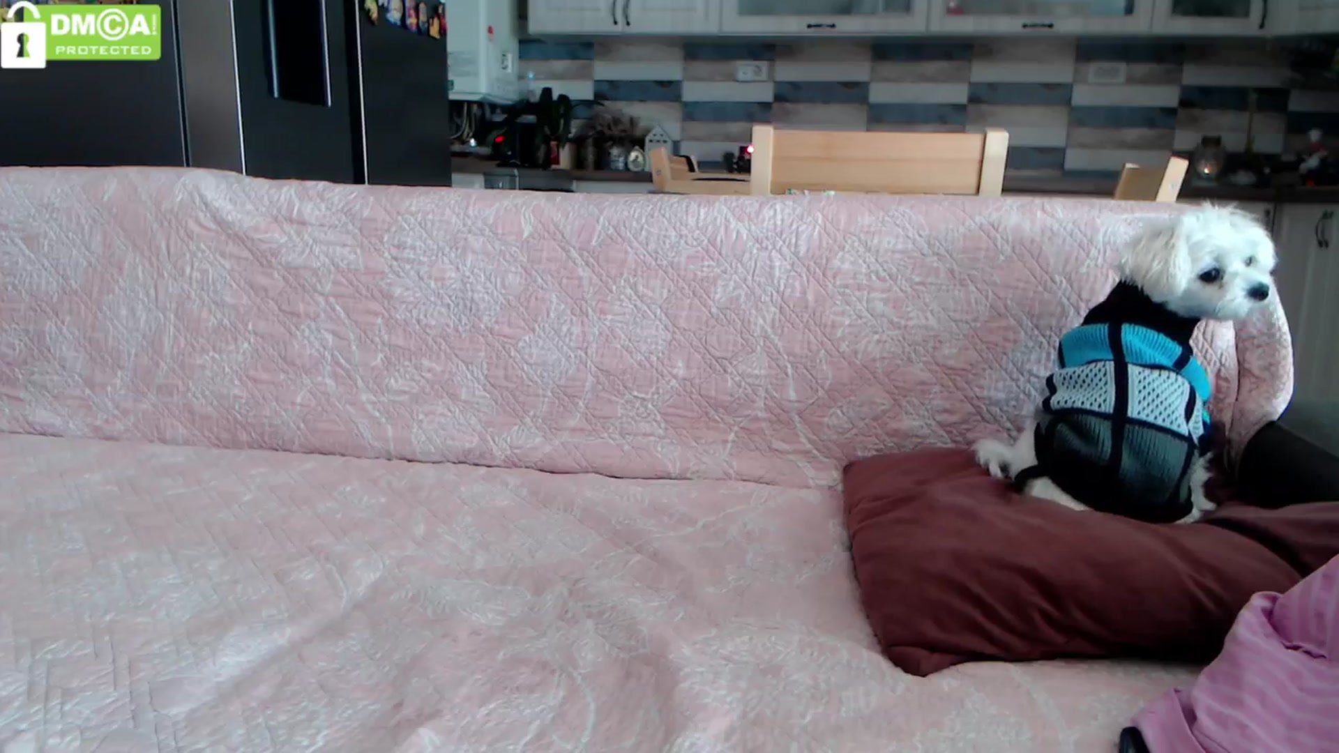 Gallery image thumbnail from silverjewel's myfreecams stream on, 02/02/2024, 12:27 image 2 of 20