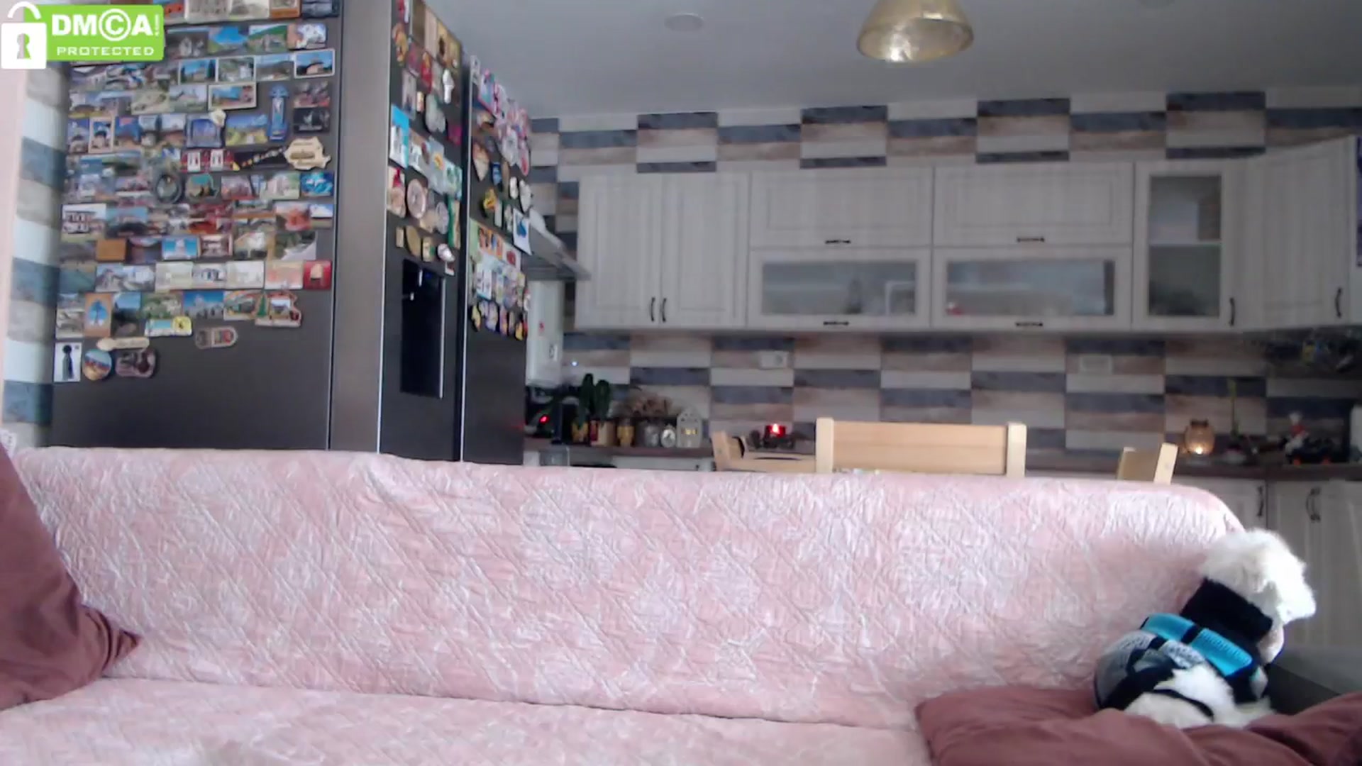 Gallery image thumbnail from silverjewel's myfreecams stream on, 02/02/2024, 12:27 image 6 of 20