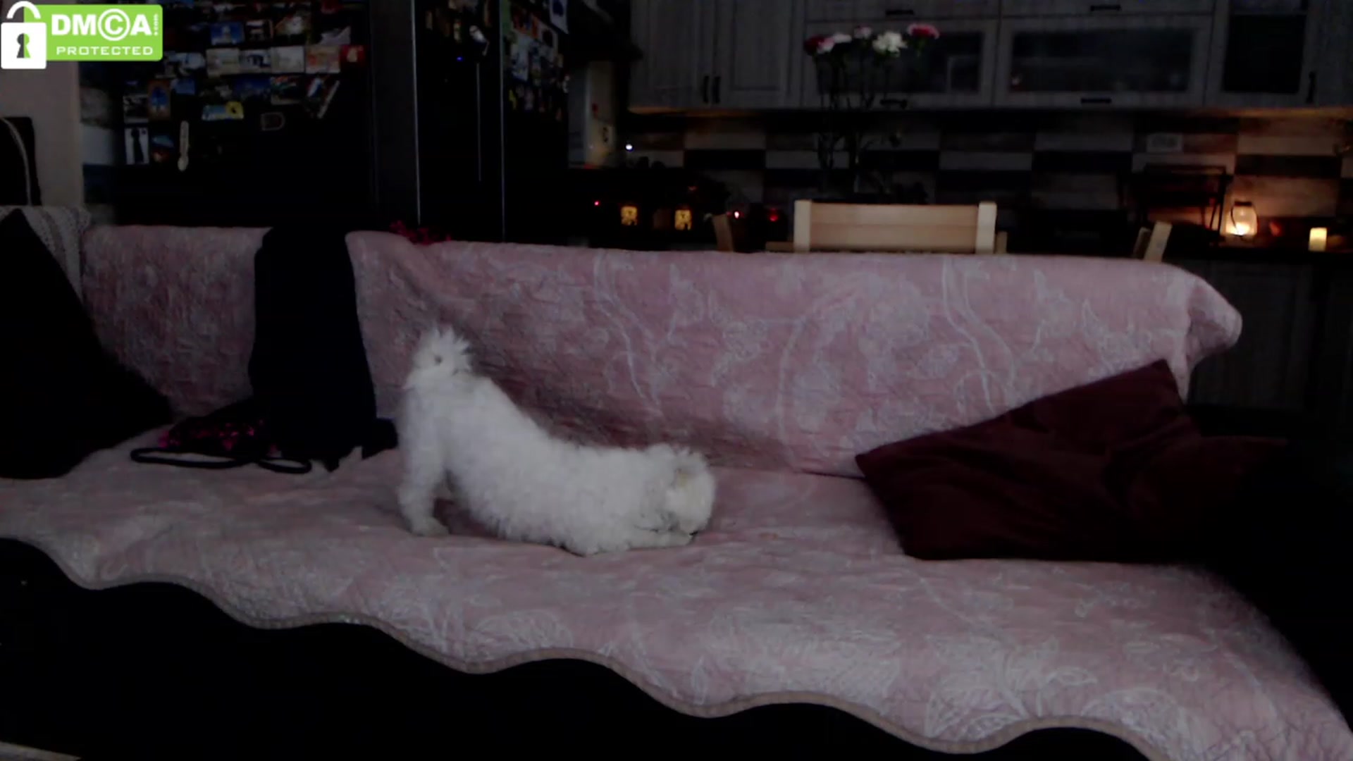Gallery image thumbnail from silverjewel's myfreecams stream on, 02/14/2024, 12:54 image 5 of 20