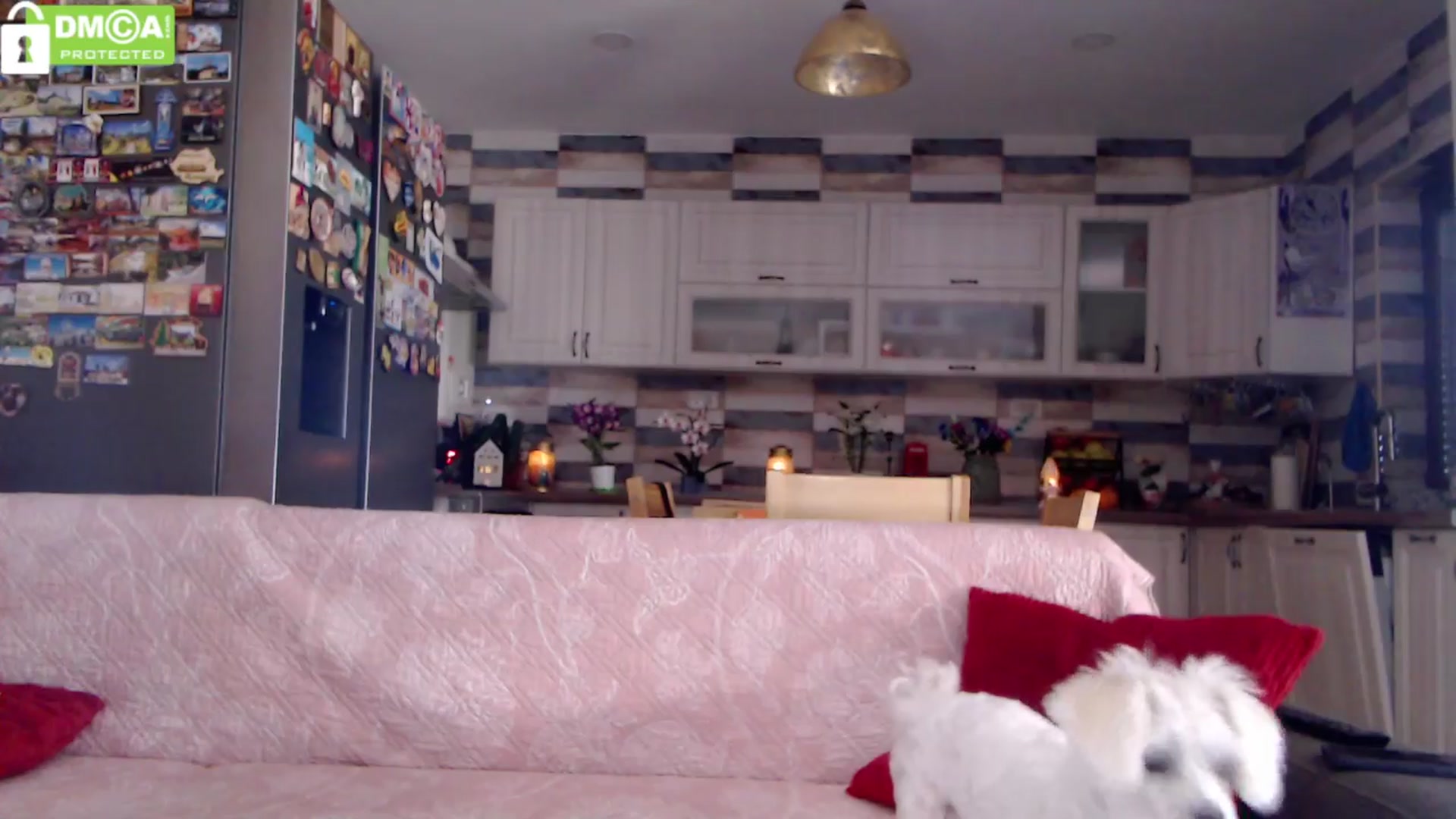 Gallery image thumbnail from silverjewel's myfreecams stream on, 03/23/2024, 09:54 image 15 of 20