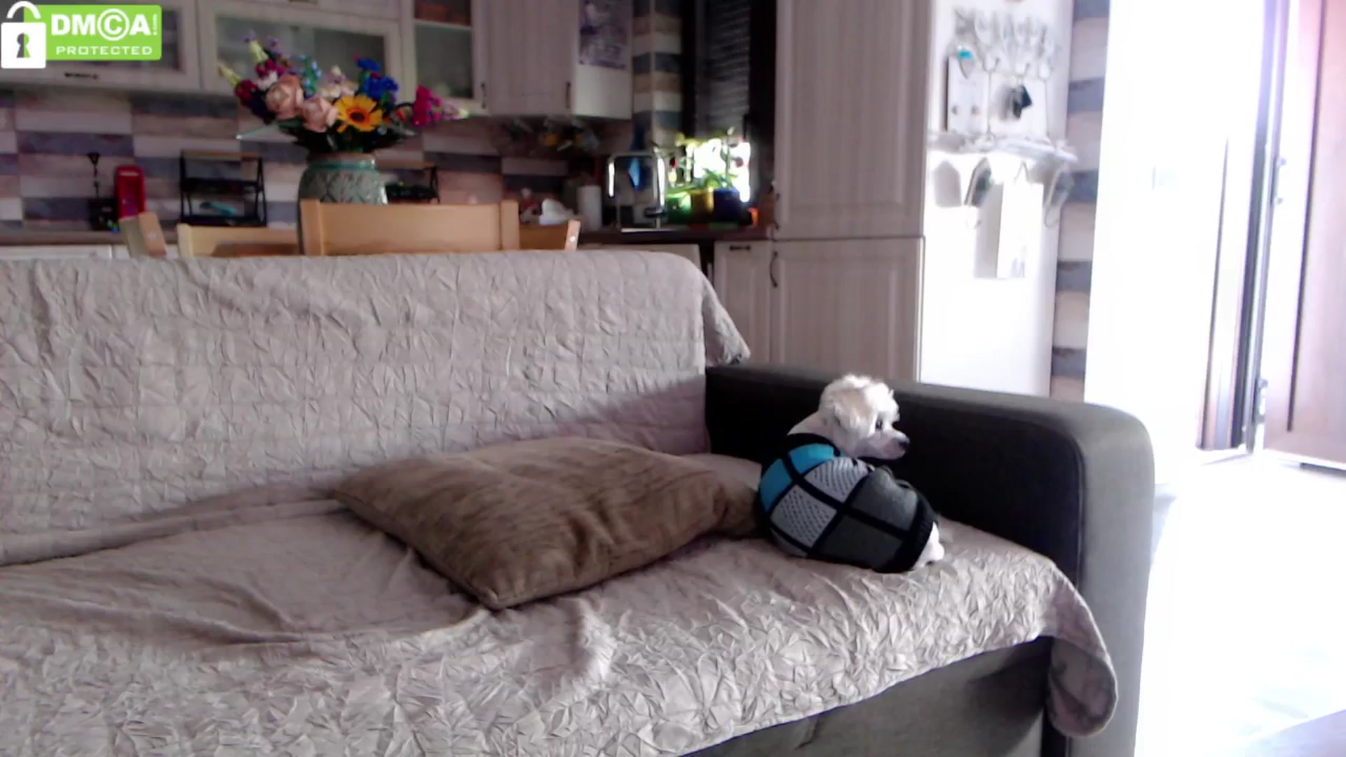 Gallery image thumbnail from silverjewel's myfreecams stream on, 05/17/2024, 10:05 image 14 of 20