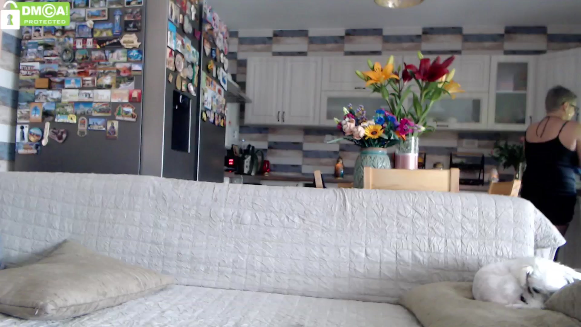Gallery image thumbnail from silverjewel's myfreecams stream on, 05/18/2024, 11:37 image 8 of 20
