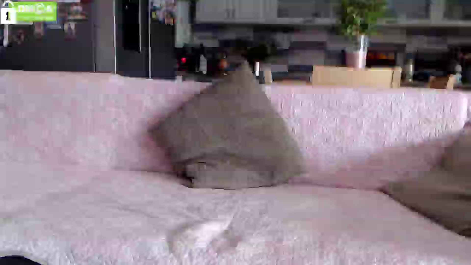Gallery image thumbnail from silverjewel's myfreecams stream on, 05/30/2024, 07:39 image 5 of 20