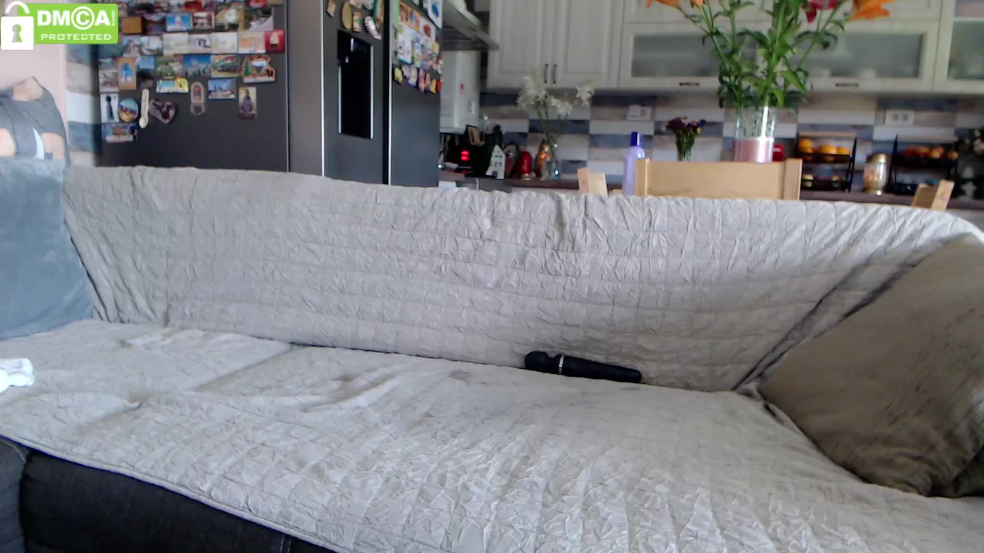 Gallery image thumbnail from silverjewel's myfreecams stream on, 06/06/2024, 10:48 image 13 of 20