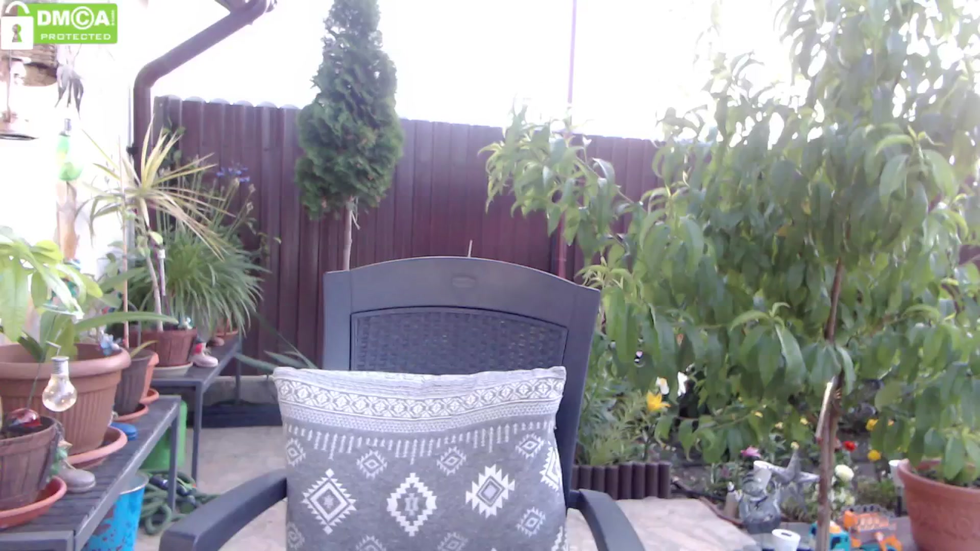 Gallery image thumbnail from silverjewel's myfreecams stream on, 06/21/2024, 18:34 image 19 of 20