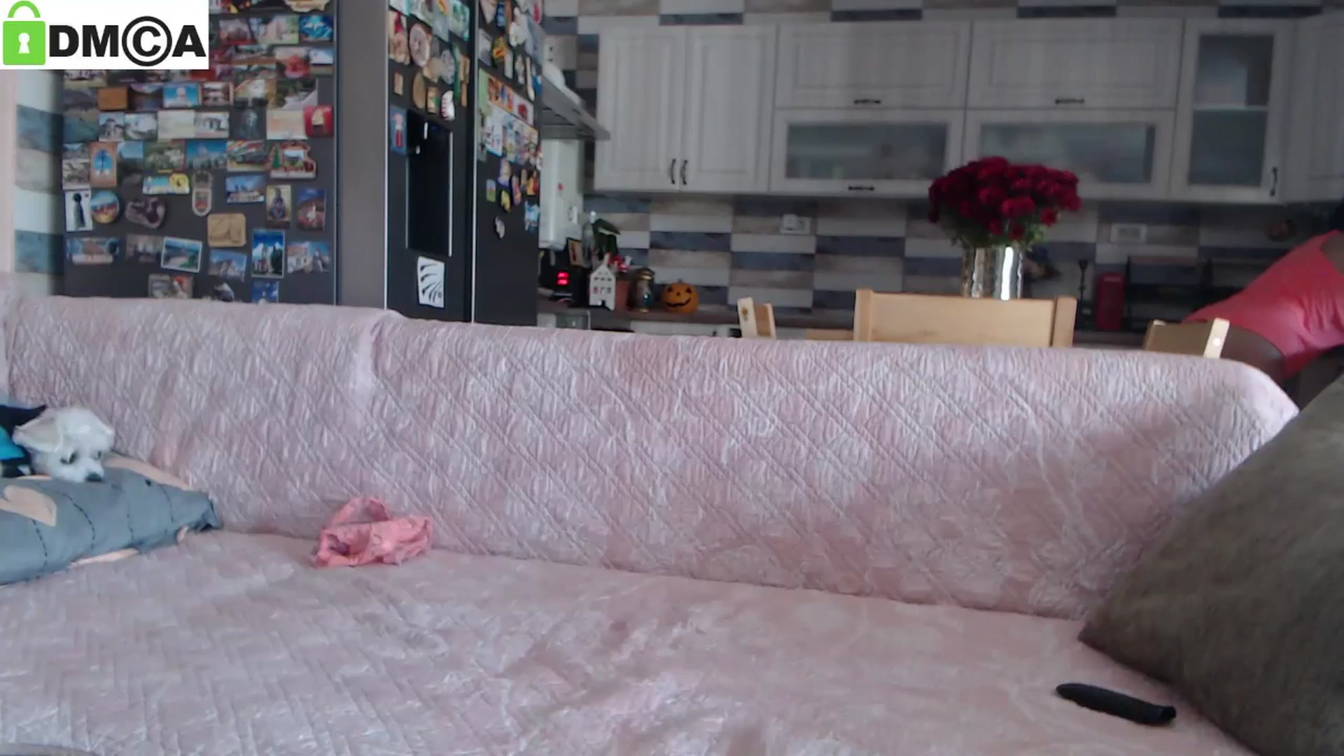Gallery image thumbnail from silverjewel's myfreecams stream on, 11/08/2024, 09:51 image 16 of 20