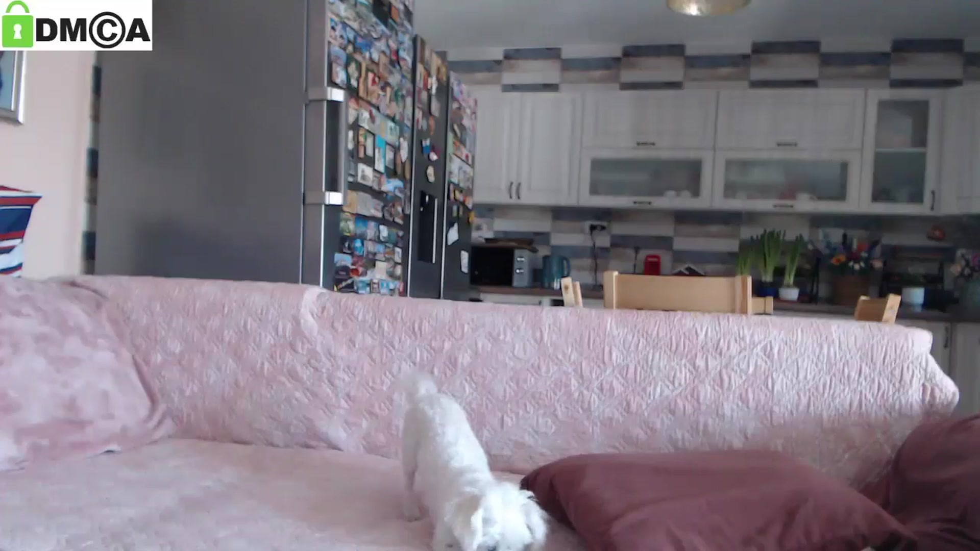 Gallery image thumbnail from silverjewel's myfreecams stream on, 02/26/2025, 10:15 image 18 of 20