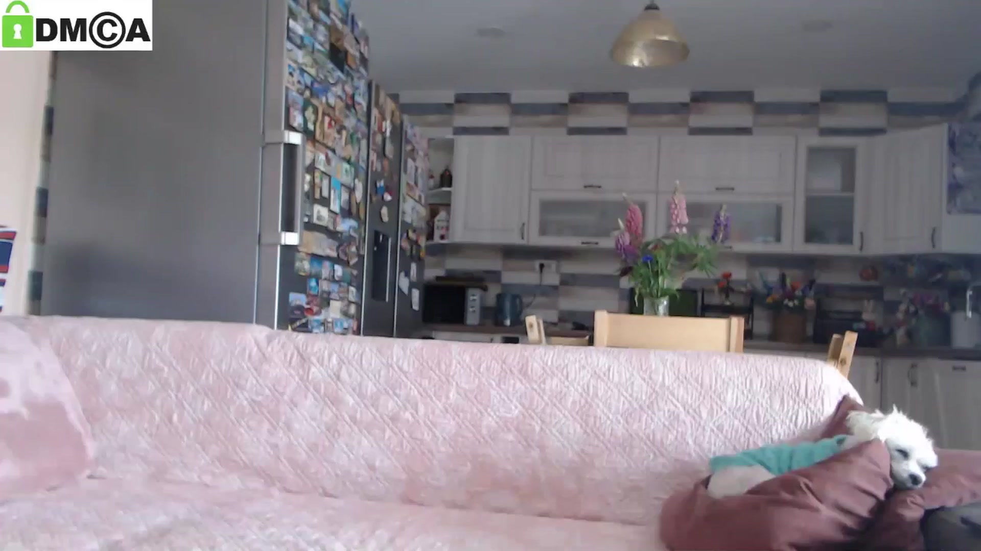 Gallery image thumbnail from silverjewel's myfreecams stream on, 05/15/2025, 11:02 image 11 of 20