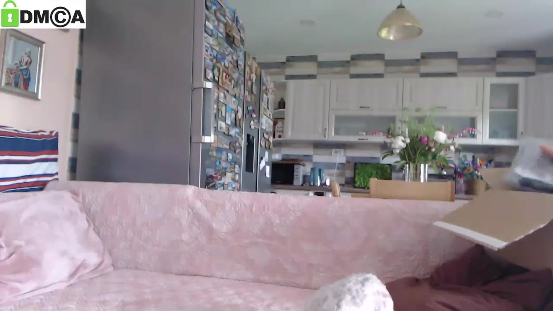 Gallery image thumbnail from silverjewel's myfreecams stream on, 05/28/2025, 09:56 image 11 of 20