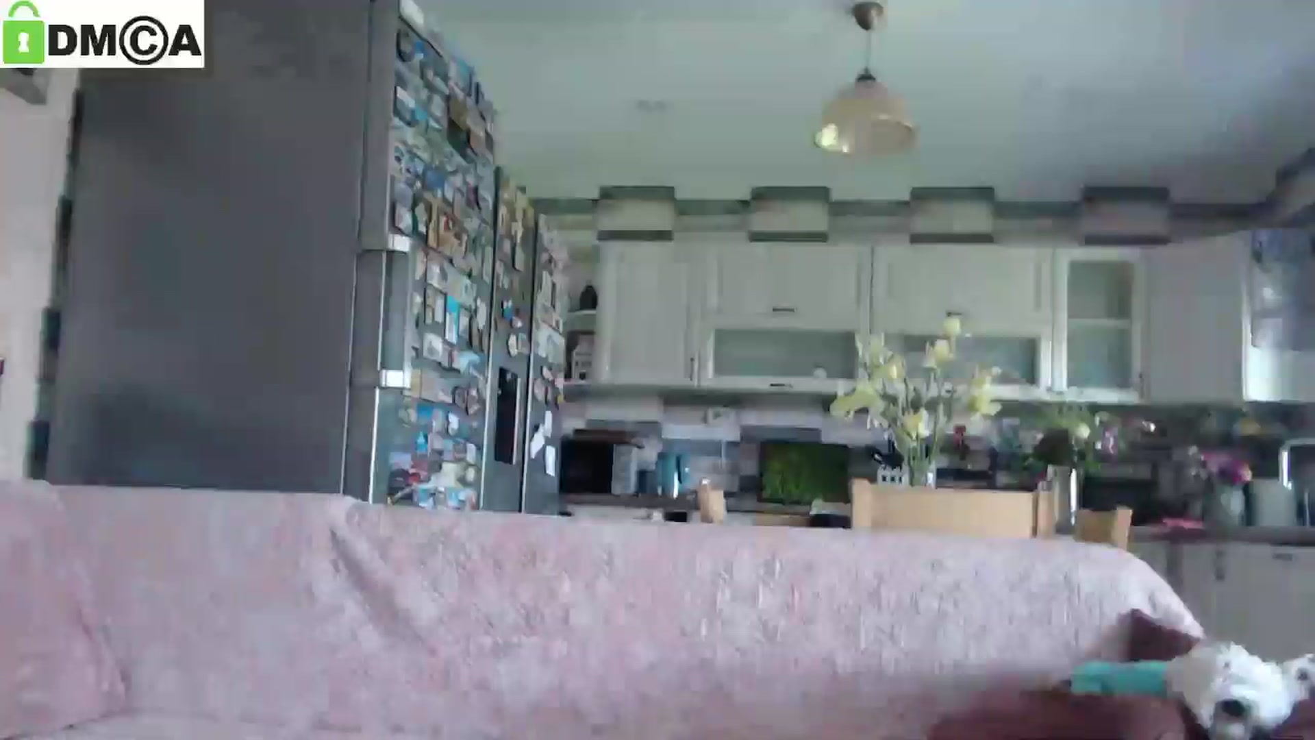 Gallery image thumbnail from silverjewel's myfreecams stream on, 05/30/2025, 08:40 image 16 of 20