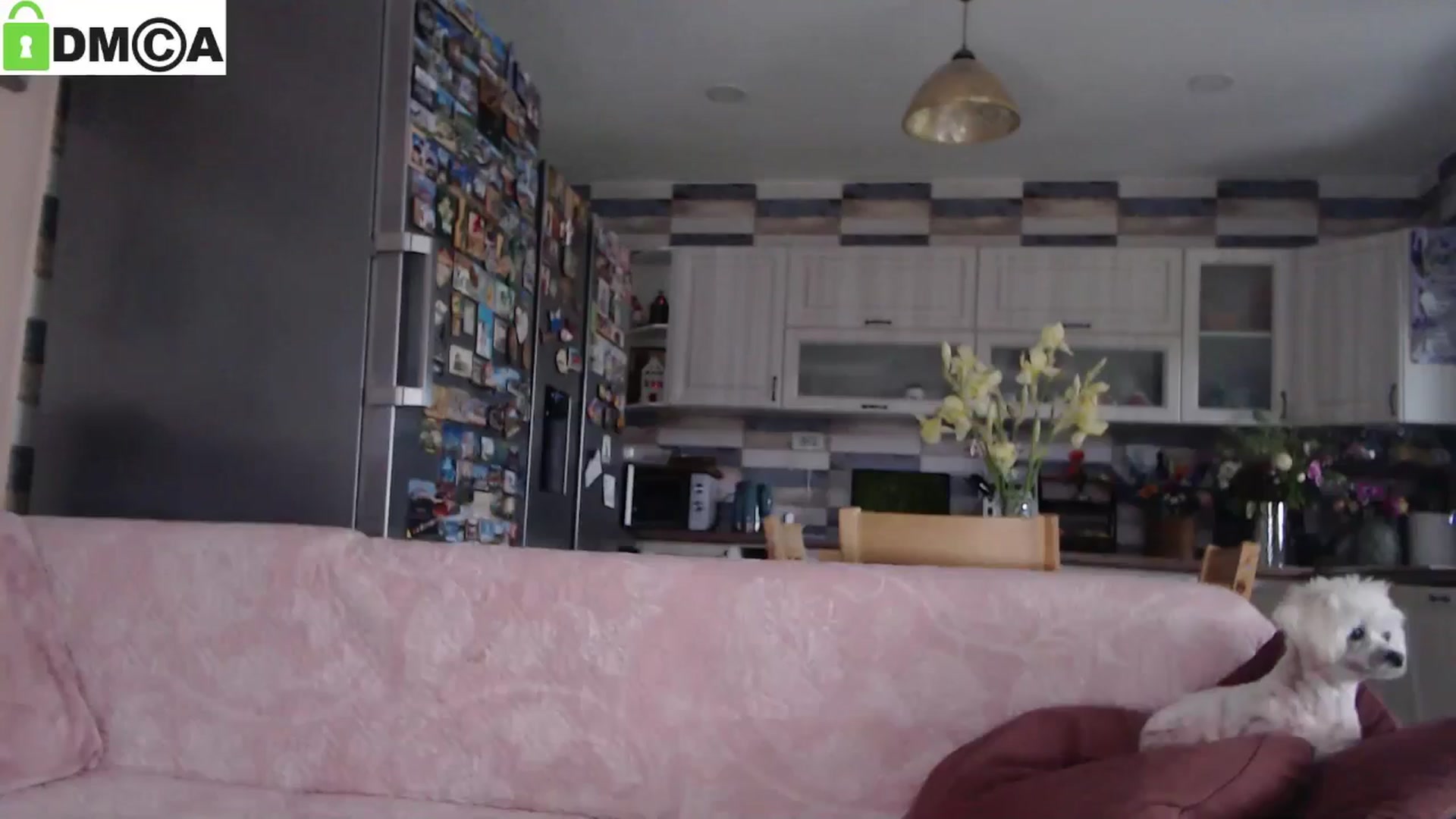 Gallery image thumbnail from silverjewel's myfreecams stream on, 05/30/2025, 19:16 image 8 of 20