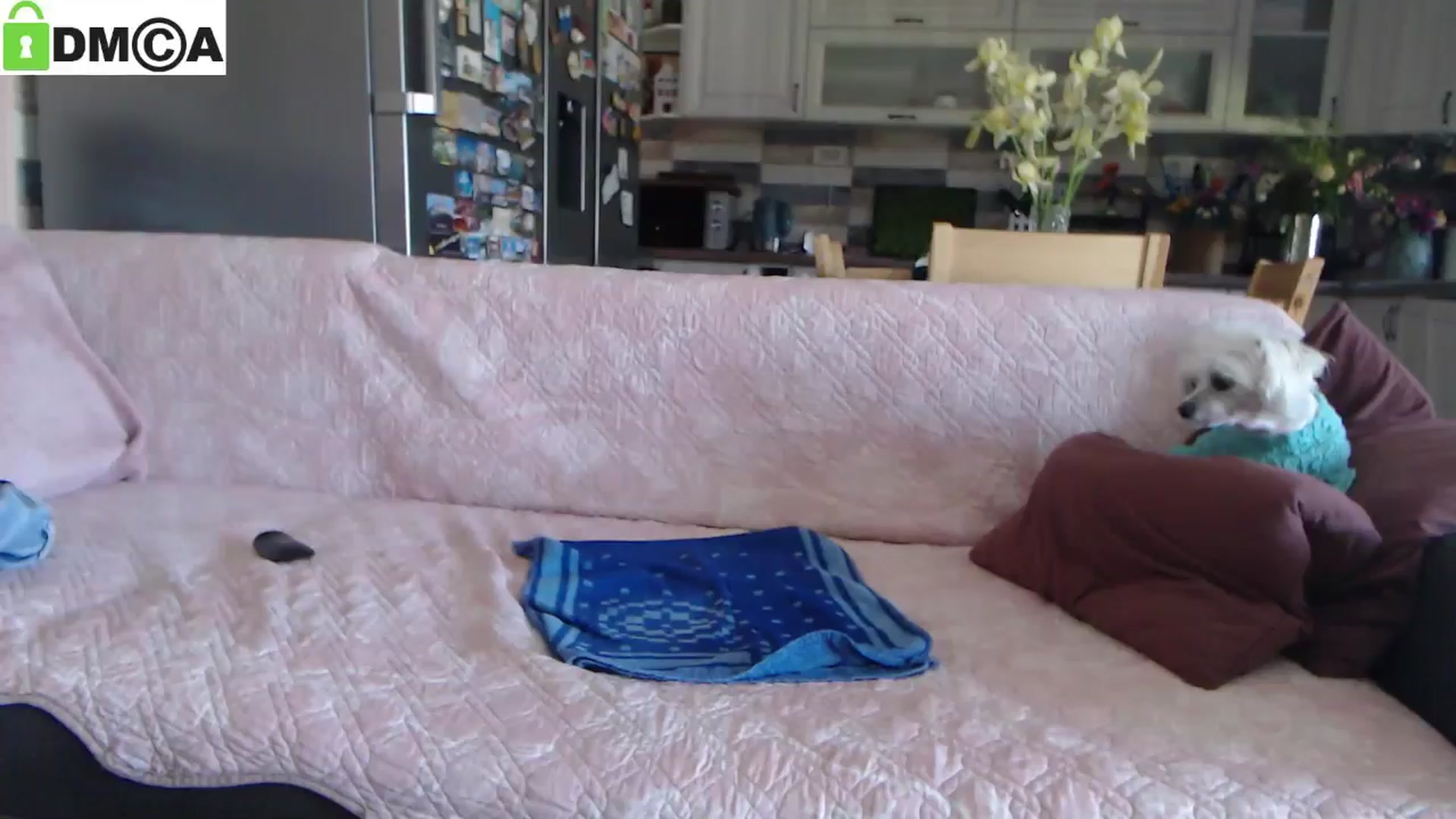Gallery image thumbnail from silverjewel's myfreecams stream on, 05/31/2025, 09:35 image 1 of 20