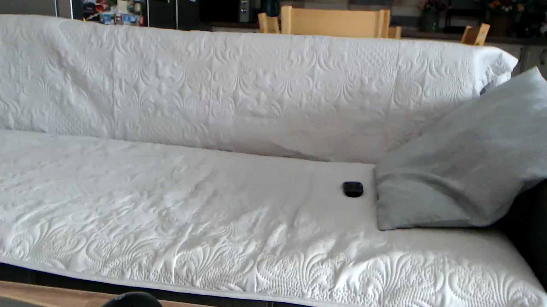 Gallery image thumbnail from silverjewel's myfreecams stream on, 08/23/2025, 07:07 image 15 of 20