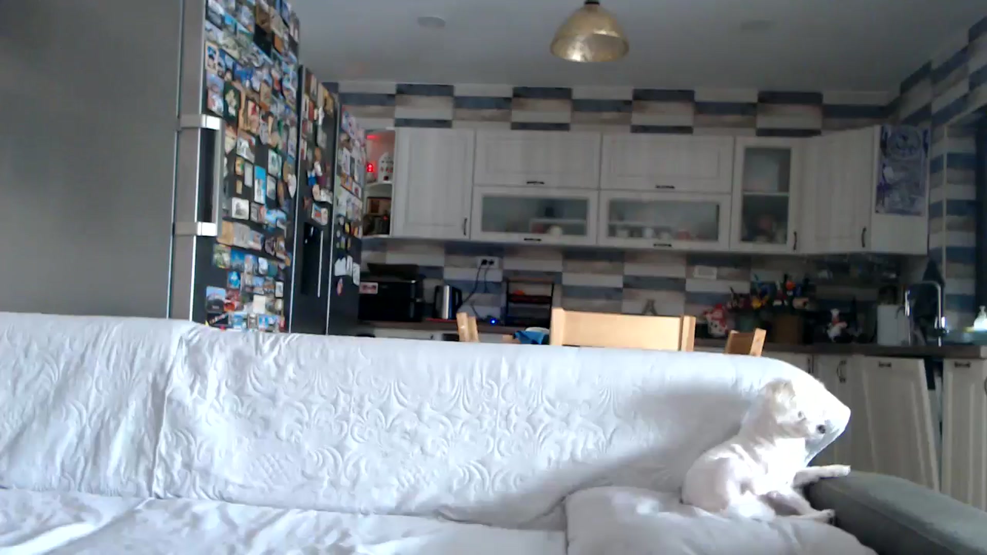 Gallery image thumbnail from silverjewel's myfreecams stream on, 01/03/2026, 10:23 image 11 of 20