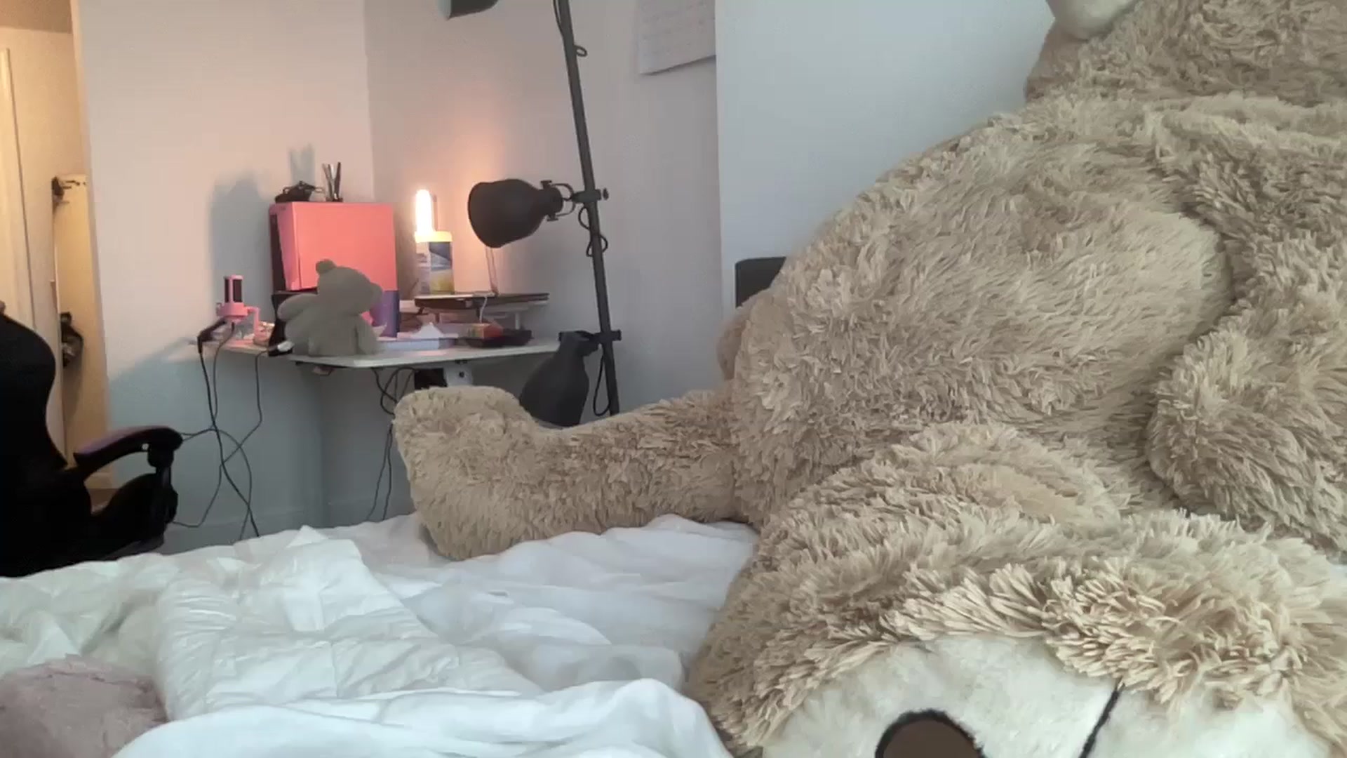 Gallery image thumbnail from sincerelypeny's myfreecams stream on, 08/29/2023, 22:36 image 14 of 20