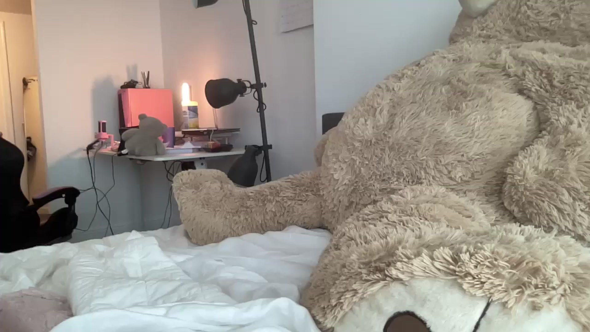 Gallery image thumbnail from sincerelypeny's myfreecams stream on, 08/29/2023, 22:36 image 13 of 20
