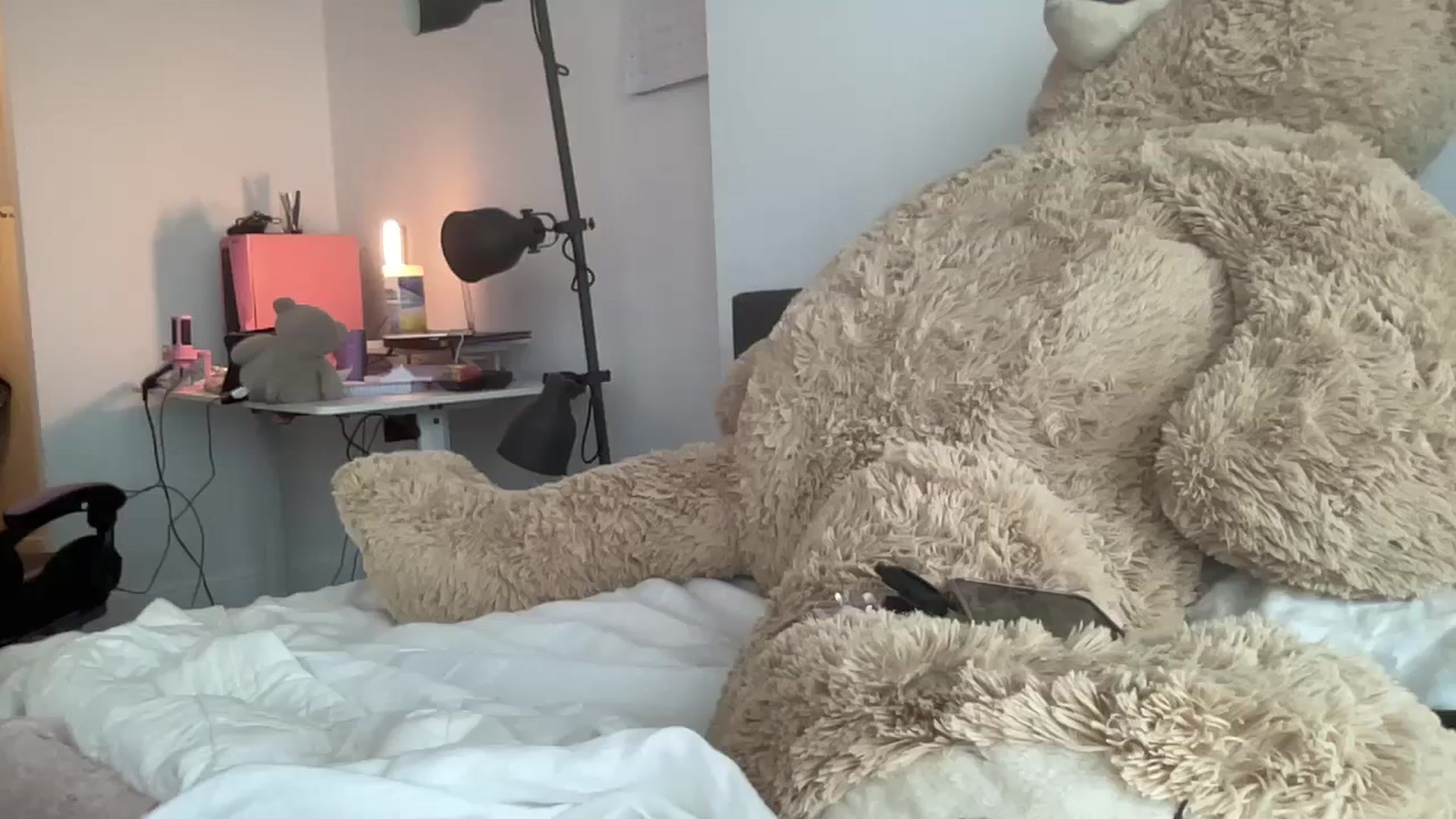 Gallery image thumbnail from sincerelypeny's myfreecams stream on, 08/29/2023, 22:36 image 11 of 20