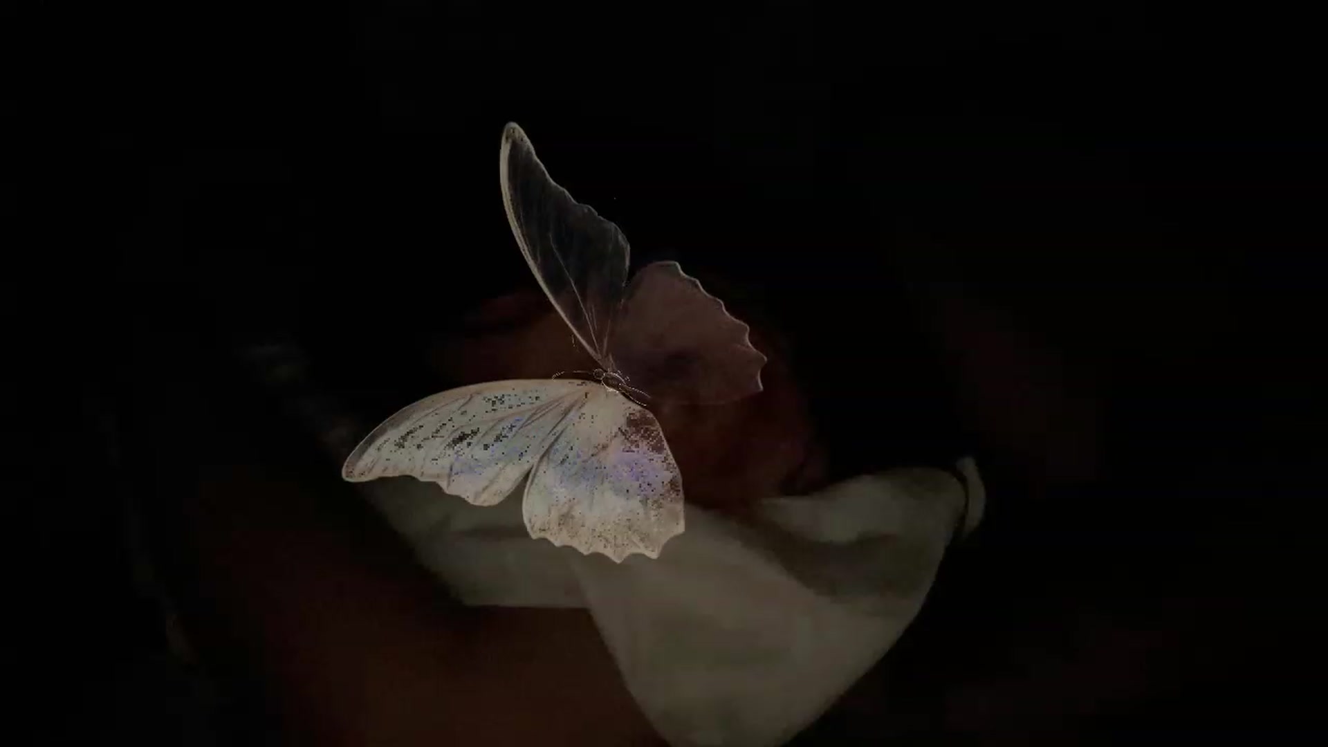 Gallery image thumbnail from sircamalot69's myfreecams stream on, 04/08/2023, 12:41 image 14 of 20