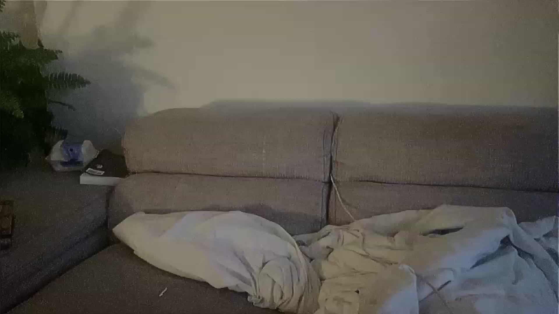 Gallery image thumbnail from sircamalot69's myfreecams stream on, 05/29/2023, 01:32 image 10 of 20