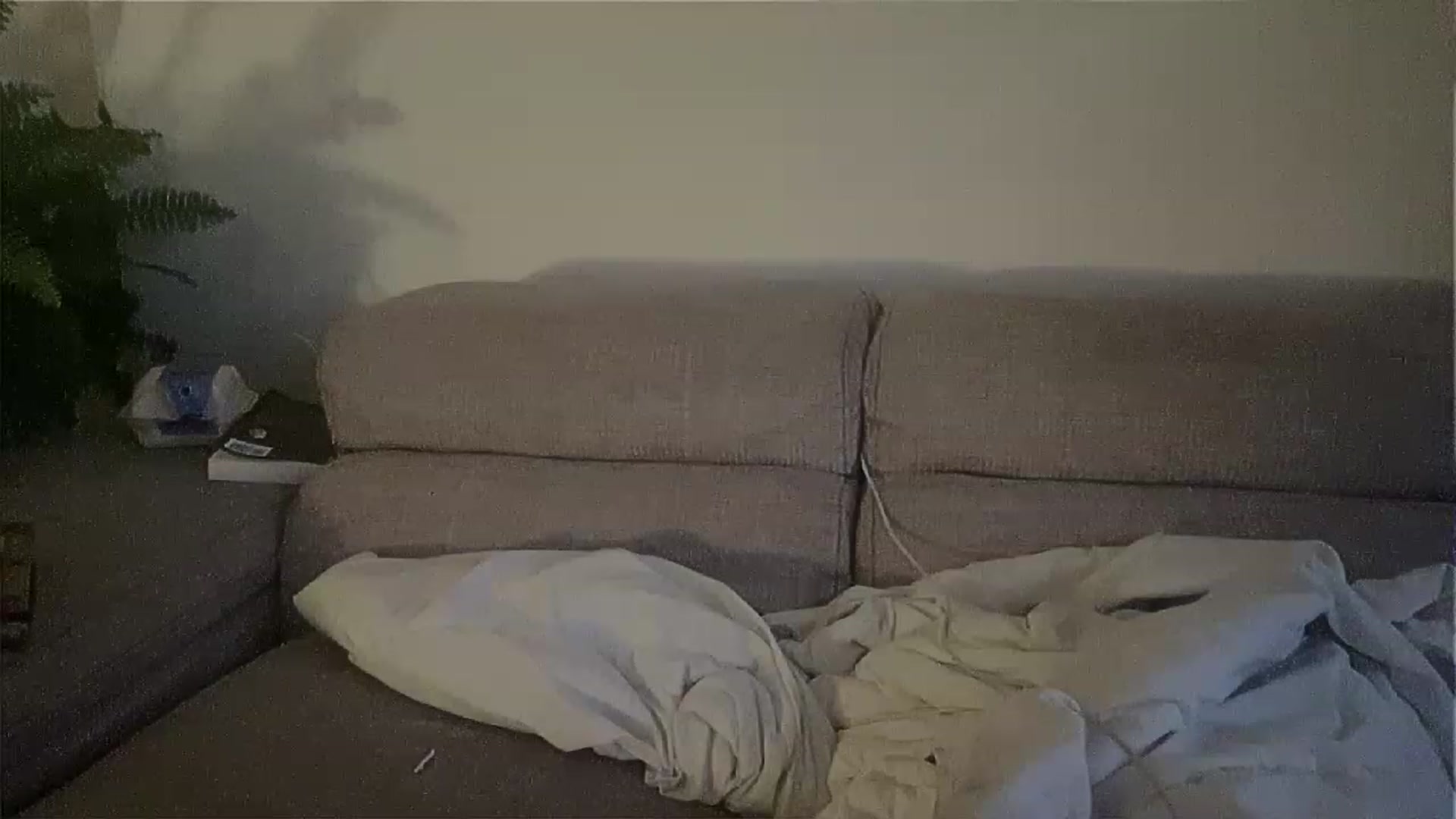 Gallery image thumbnail from sircamalot69's myfreecams stream on, 05/29/2023, 01:32 image 12 of 20