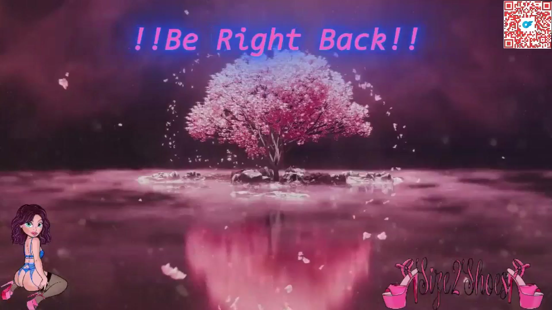 Gallery image thumbnail from size2shoes's myfreecams stream on, 04/20/2025, 24:35 image 20 of 20