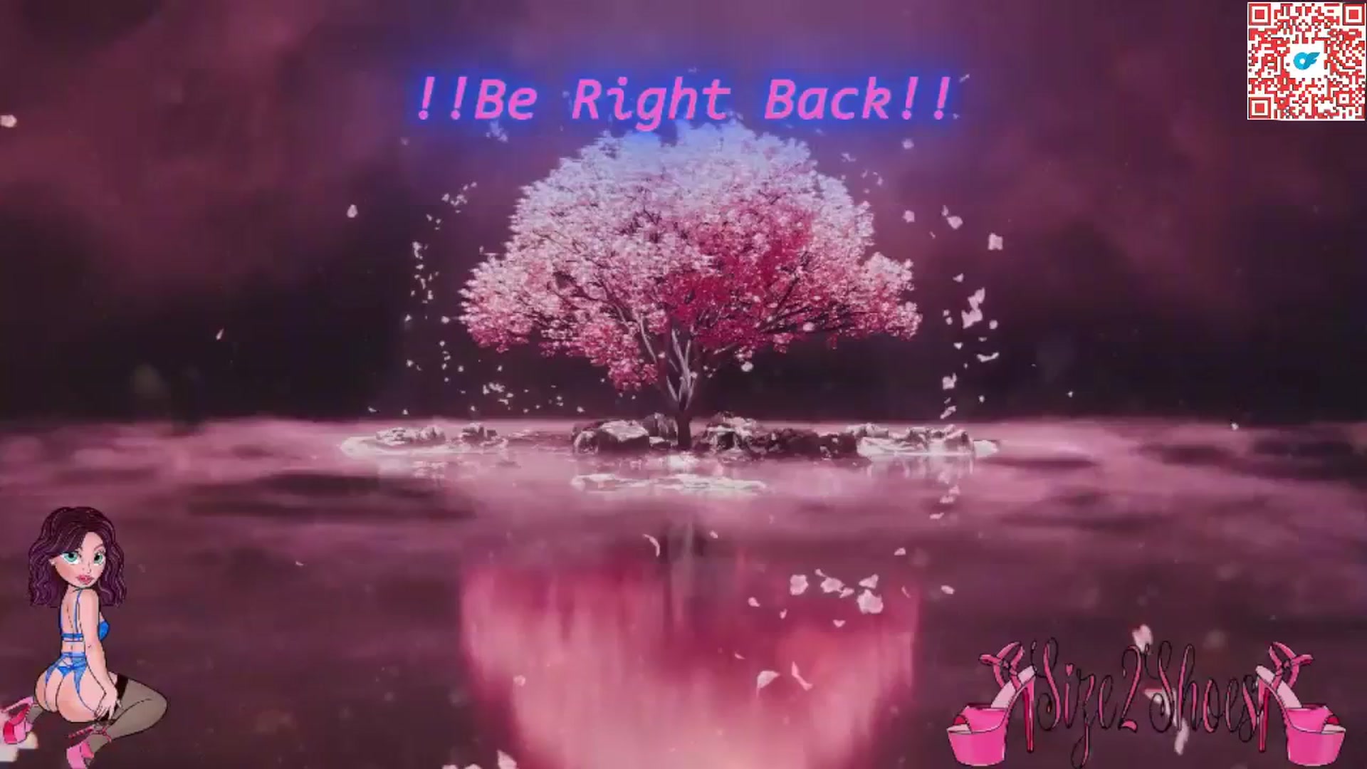 Gallery image thumbnail from size2shoes's myfreecams stream on, 08/13/2025, 23:21 image 18 of 20