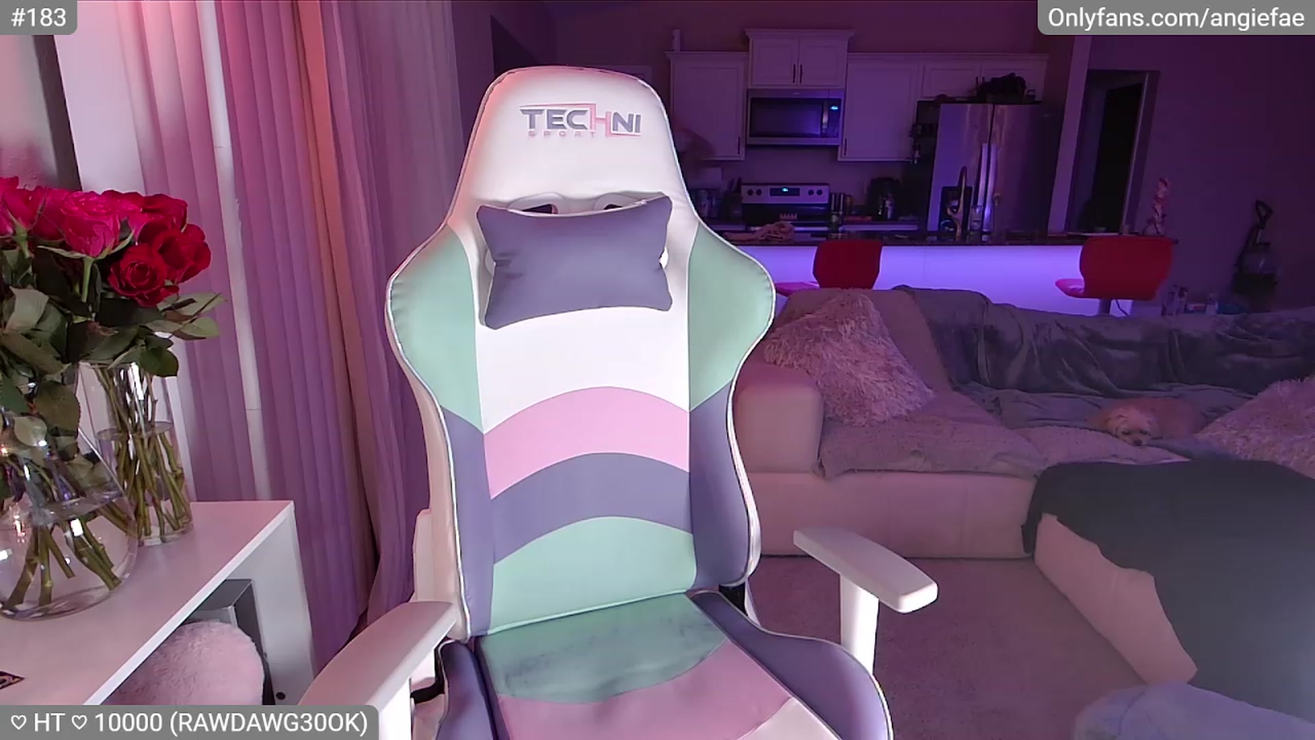 Gallery image thumbnail from skankhunt420's myfreecams stream on, 07/04/2023, 08:29 image 18 of 20