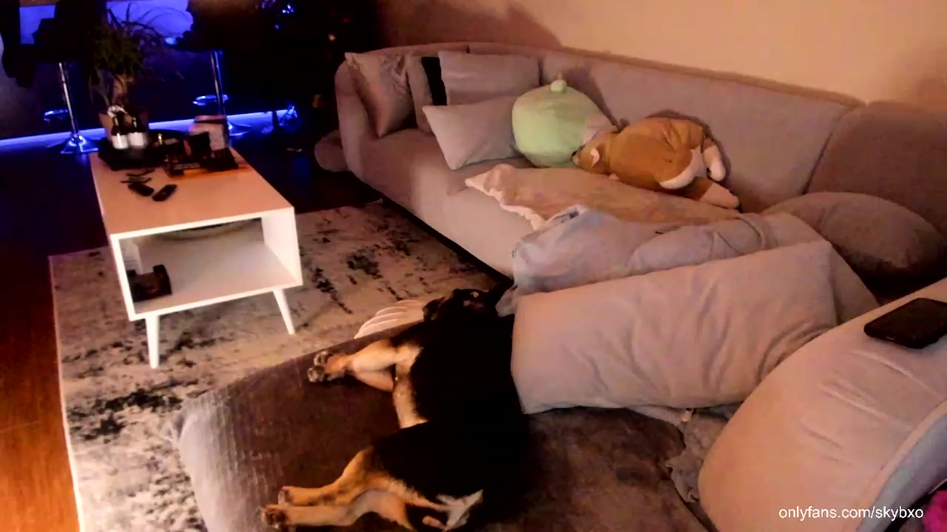 Gallery image thumbnail from skybxo's myfreecams stream on, 02/10/2024, 22:40 image 18 of 20