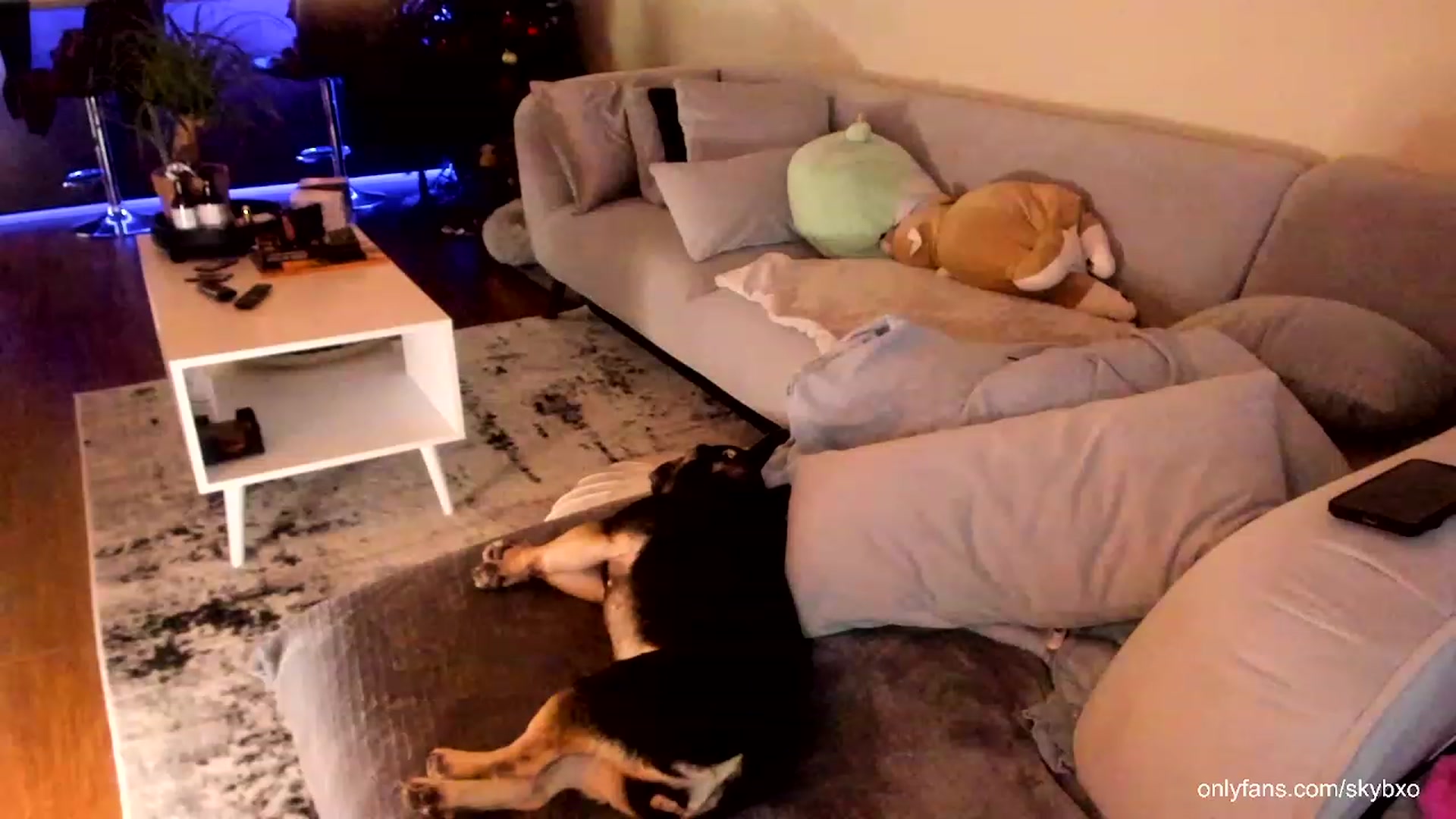 Gallery image thumbnail from skybxo's myfreecams stream on, 02/10/2024, 22:40 image 17 of 20