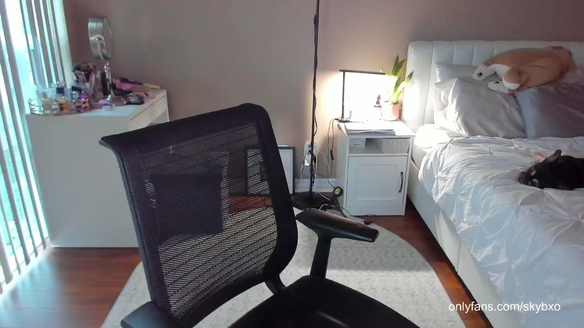Gallery image thumbnail from skybxo's myfreecams stream on, 06/14/2024, 24:38 image 14 of 20